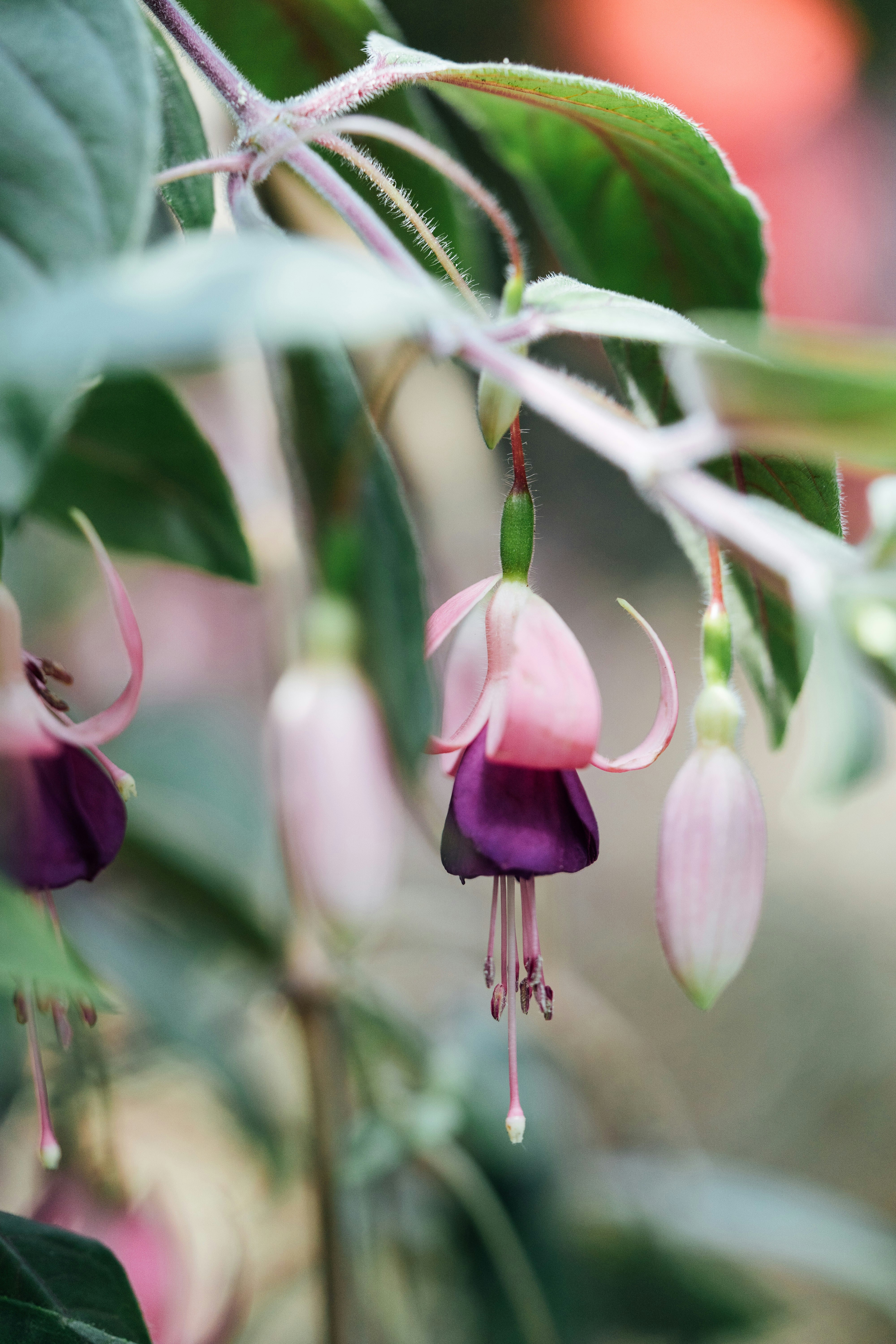 Photo by chuttersnap