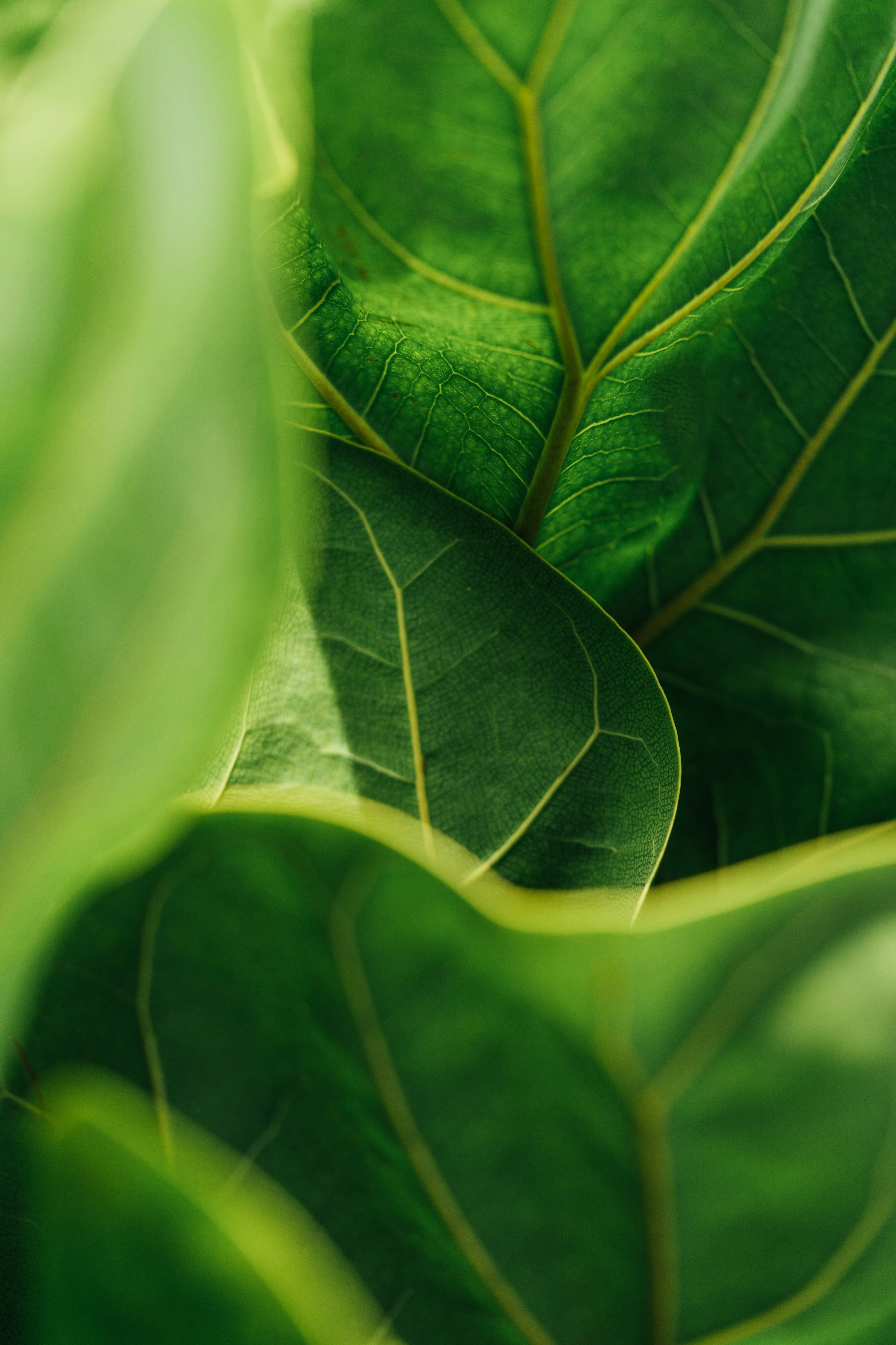 Photo by chuttersnap