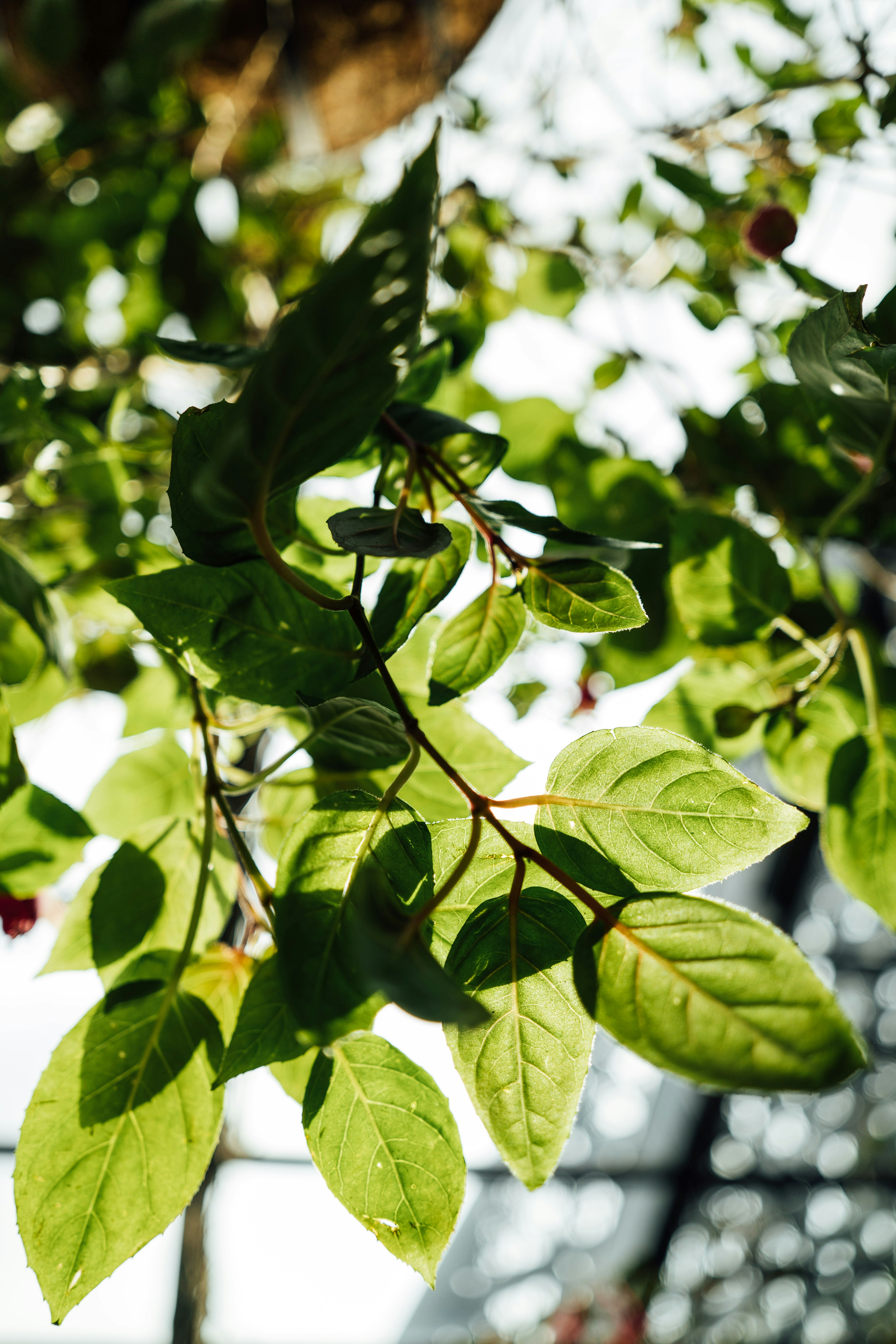 Photo by chuttersnap