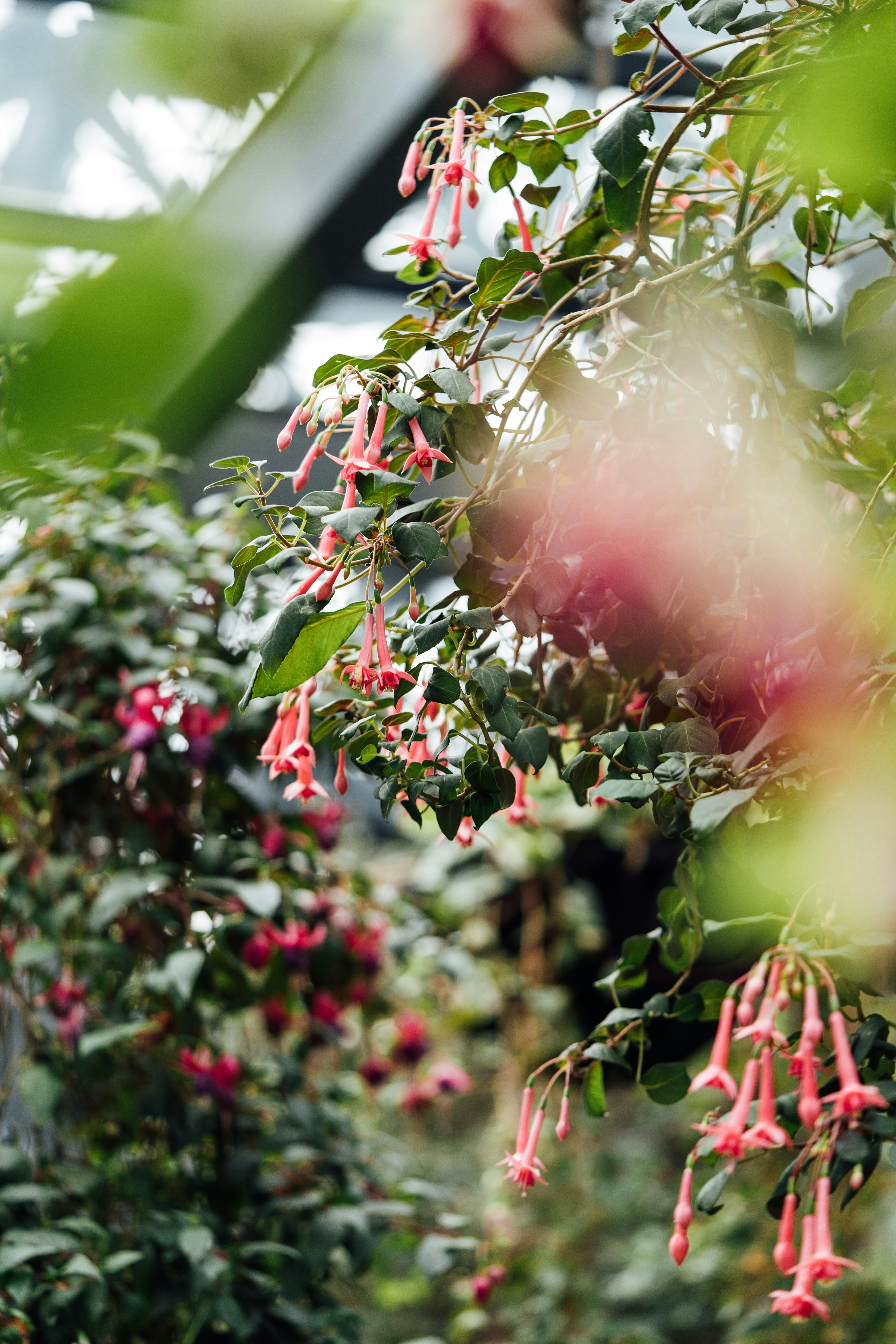 Photo by chuttersnap