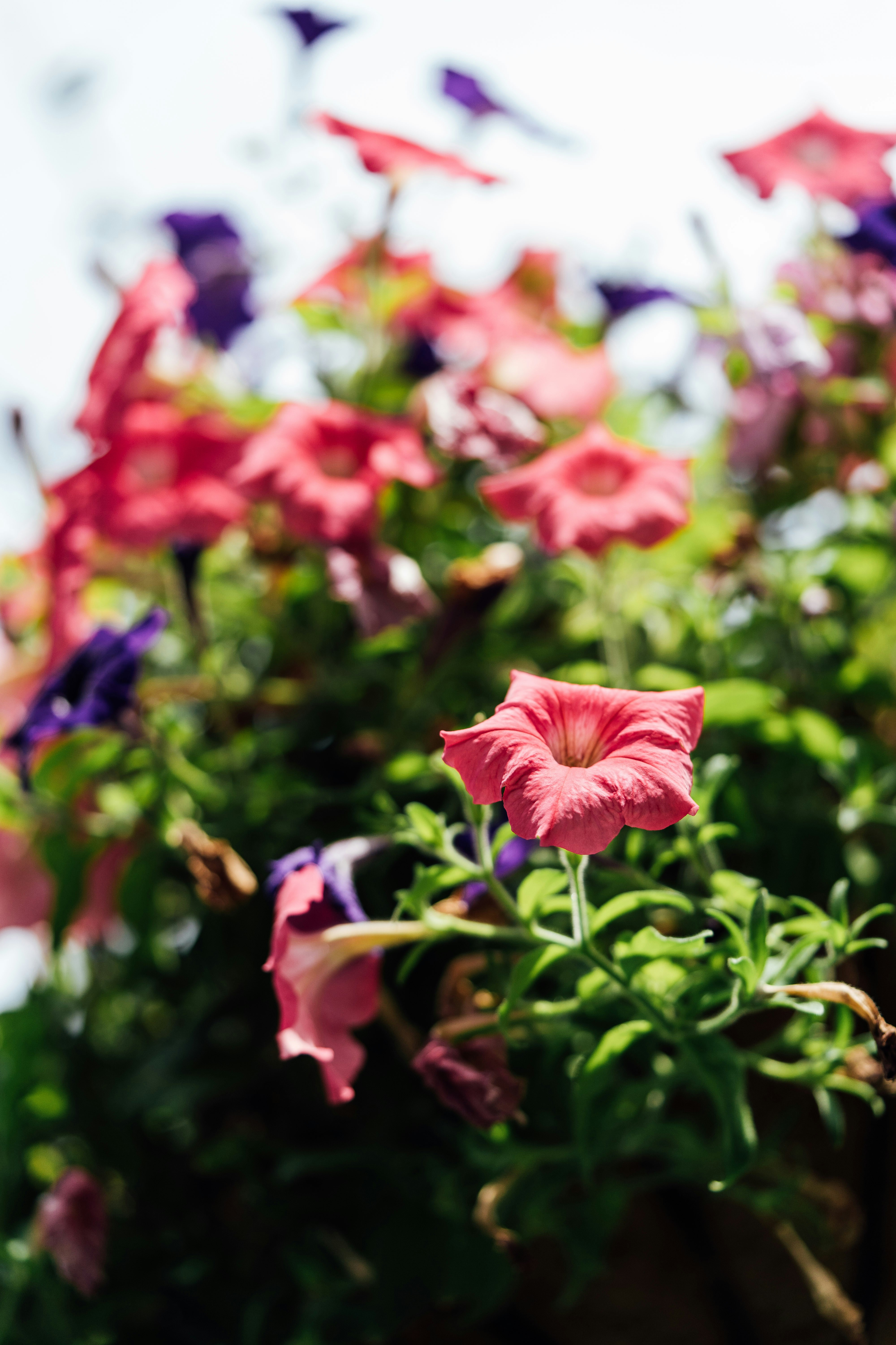 Photo by chuttersnap