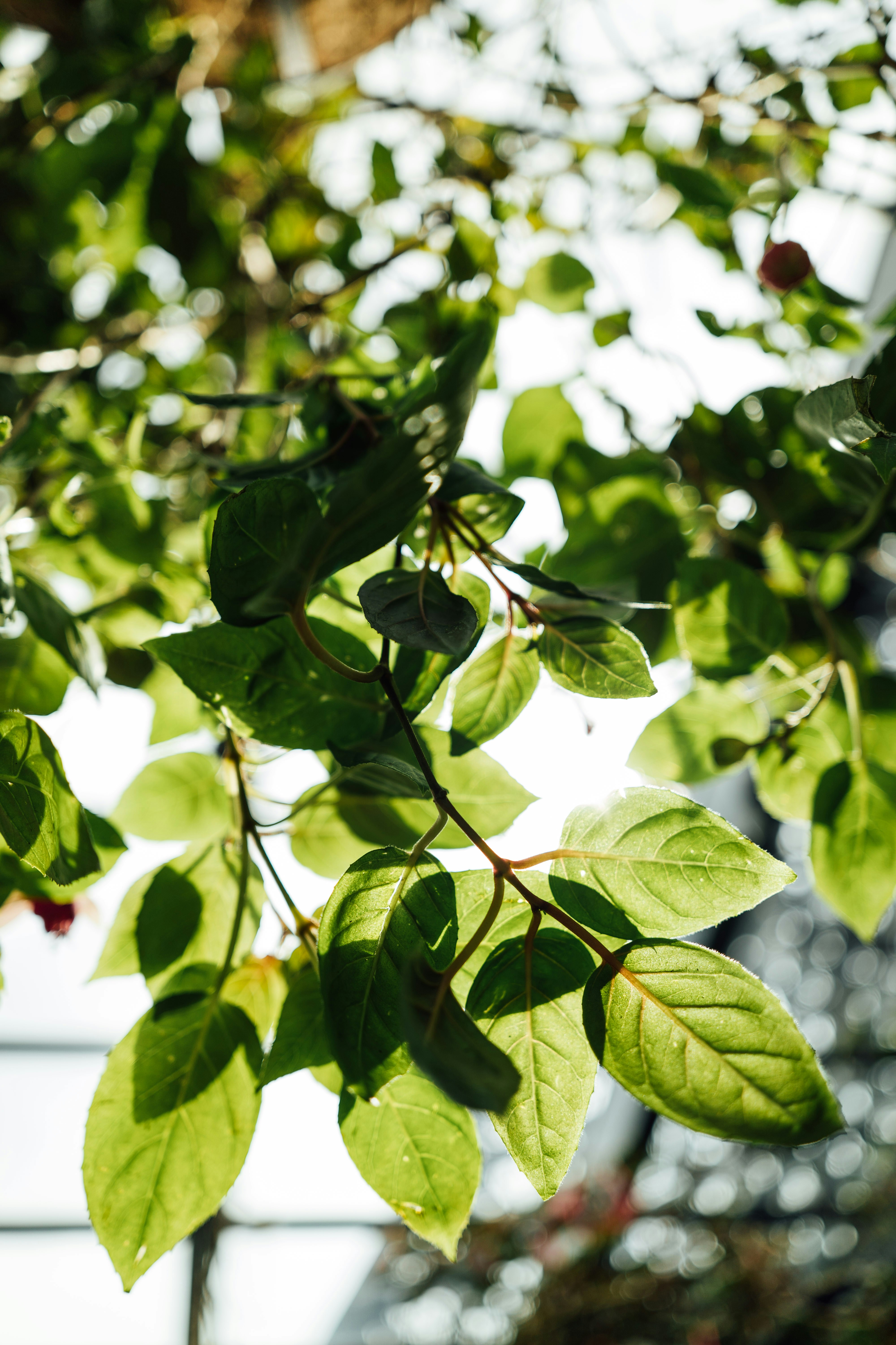 Photo by chuttersnap