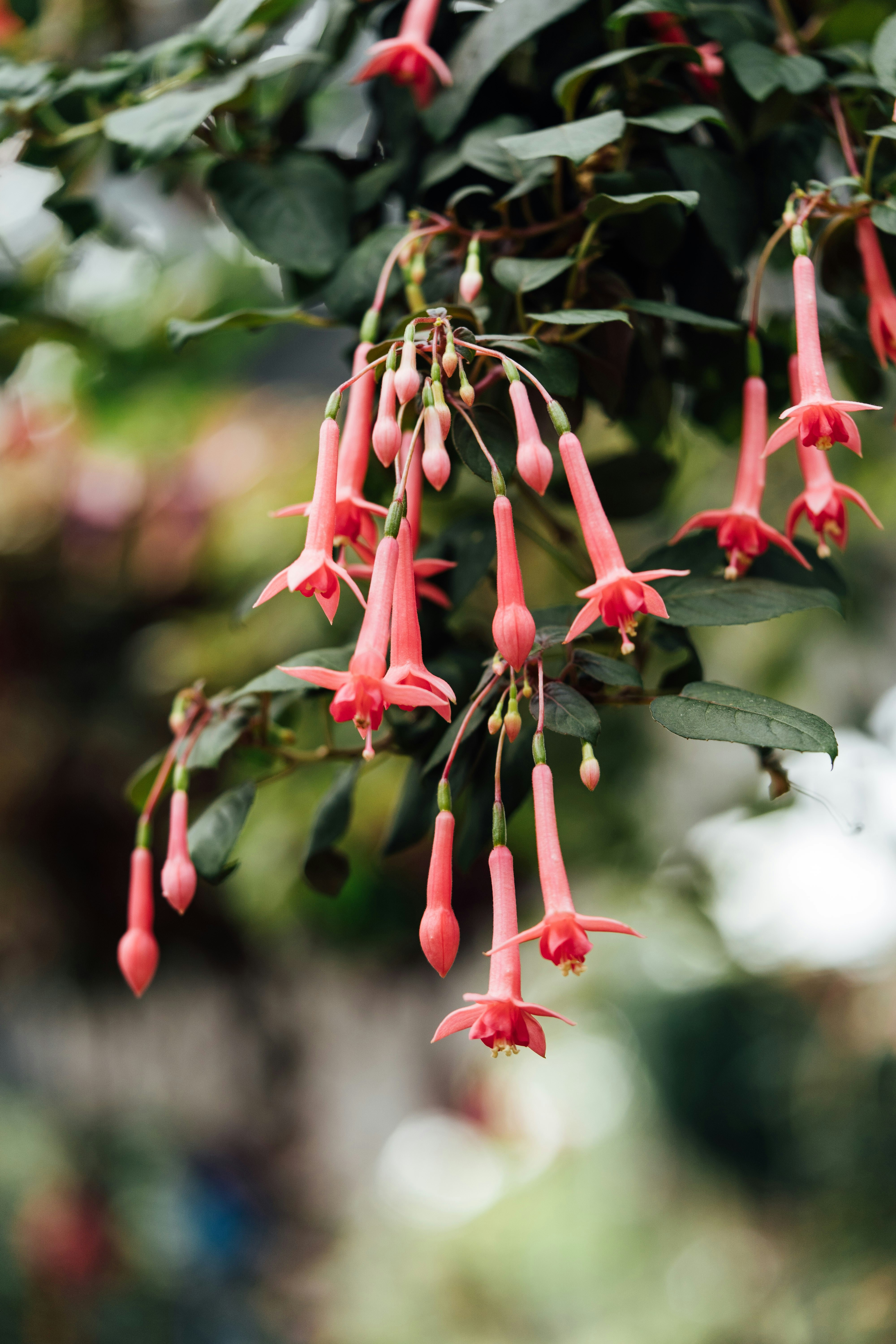 Photo by chuttersnap