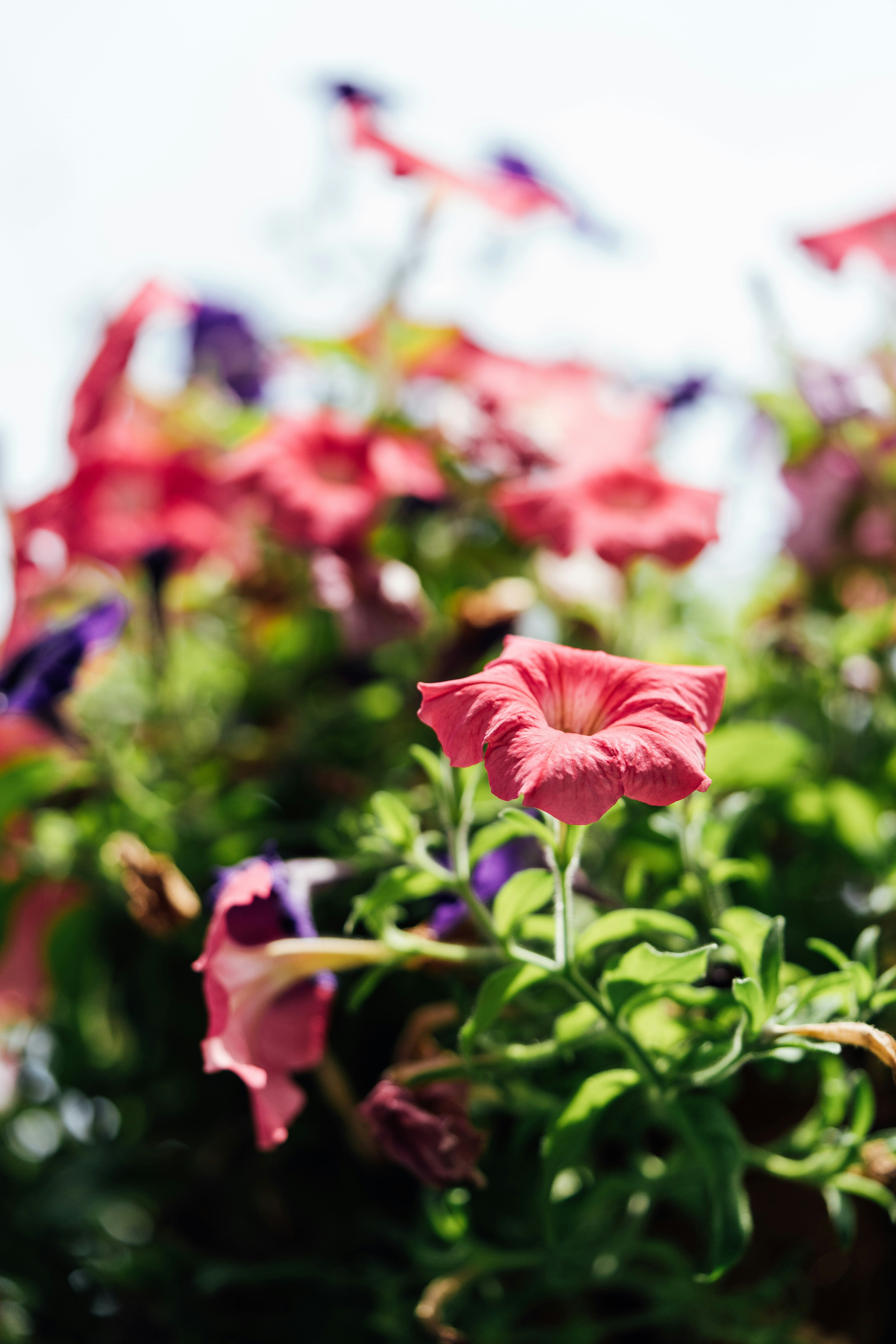 Photo by chuttersnap