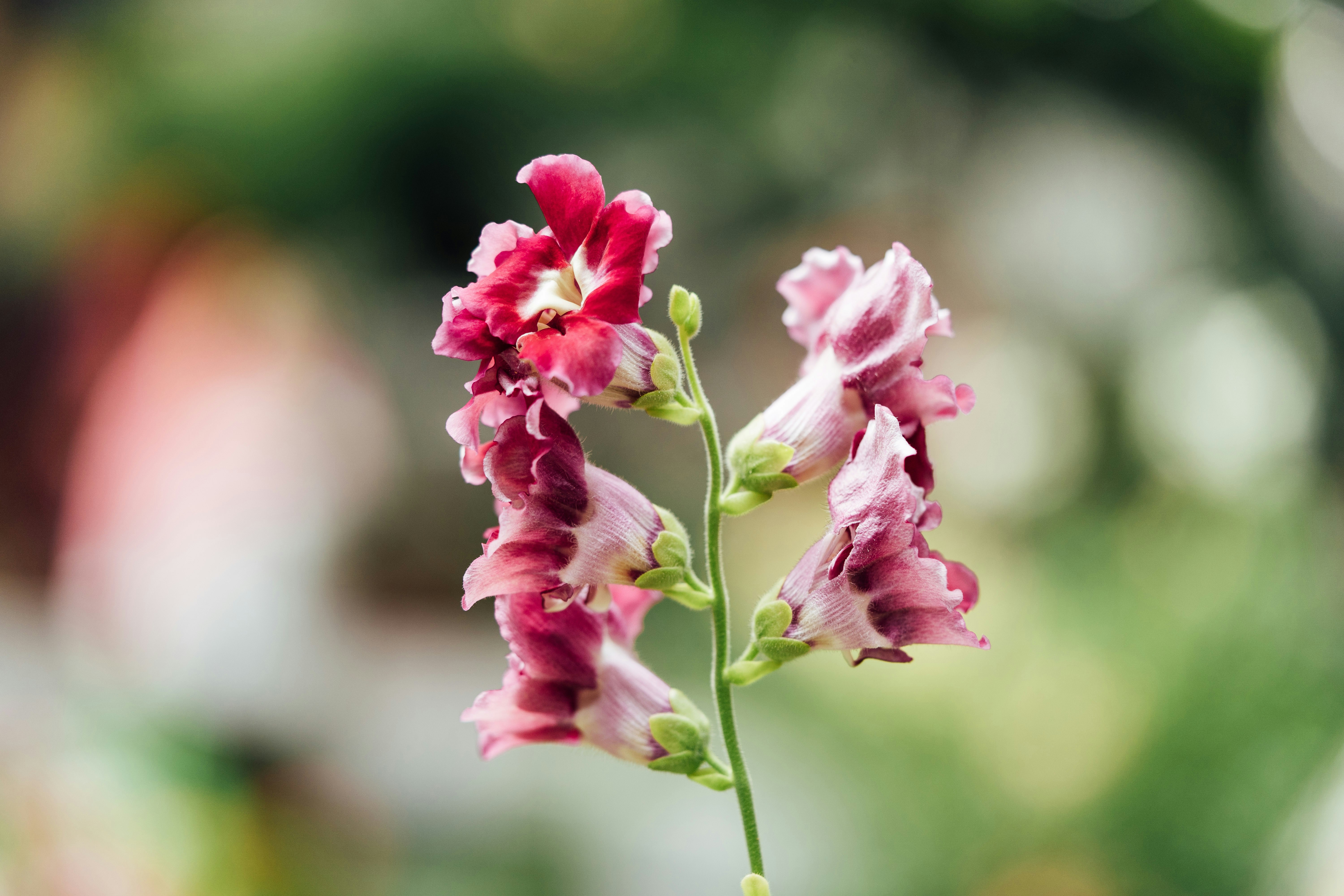 Photo by chuttersnap