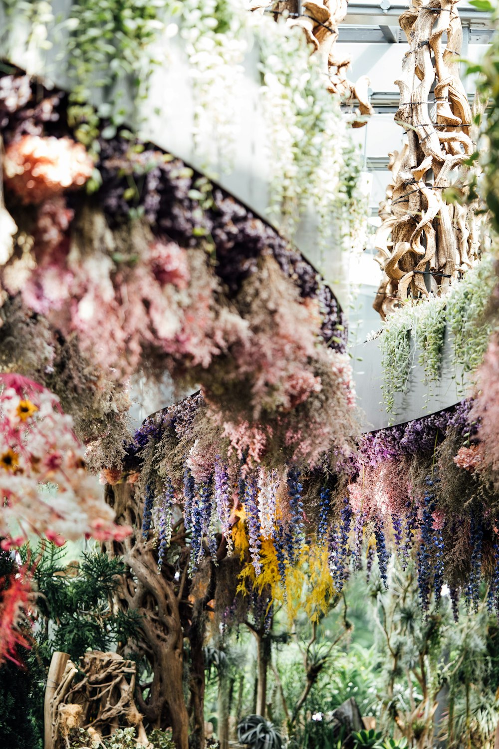 a garden filled with lots of different types of flowers