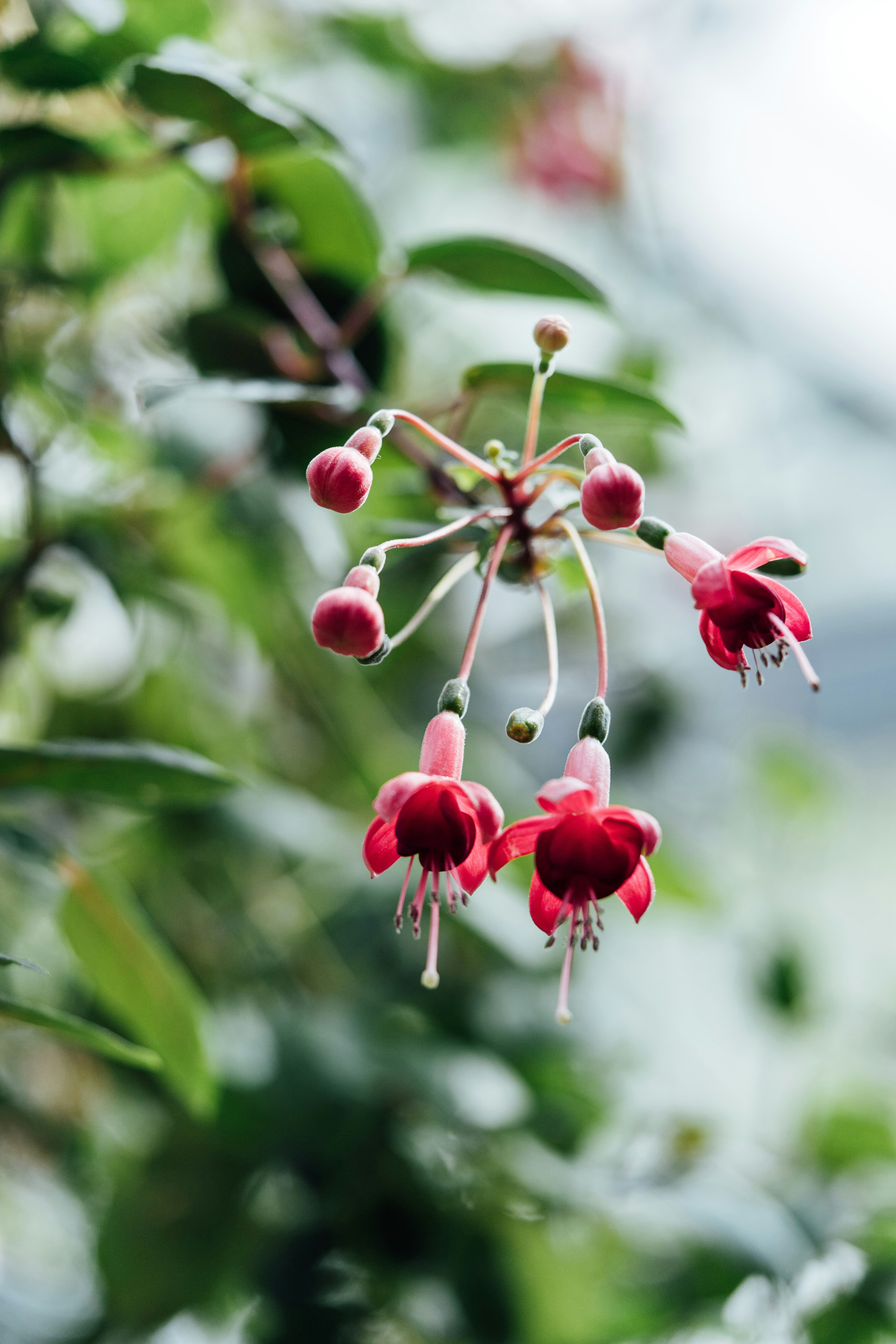 Photo by chuttersnap