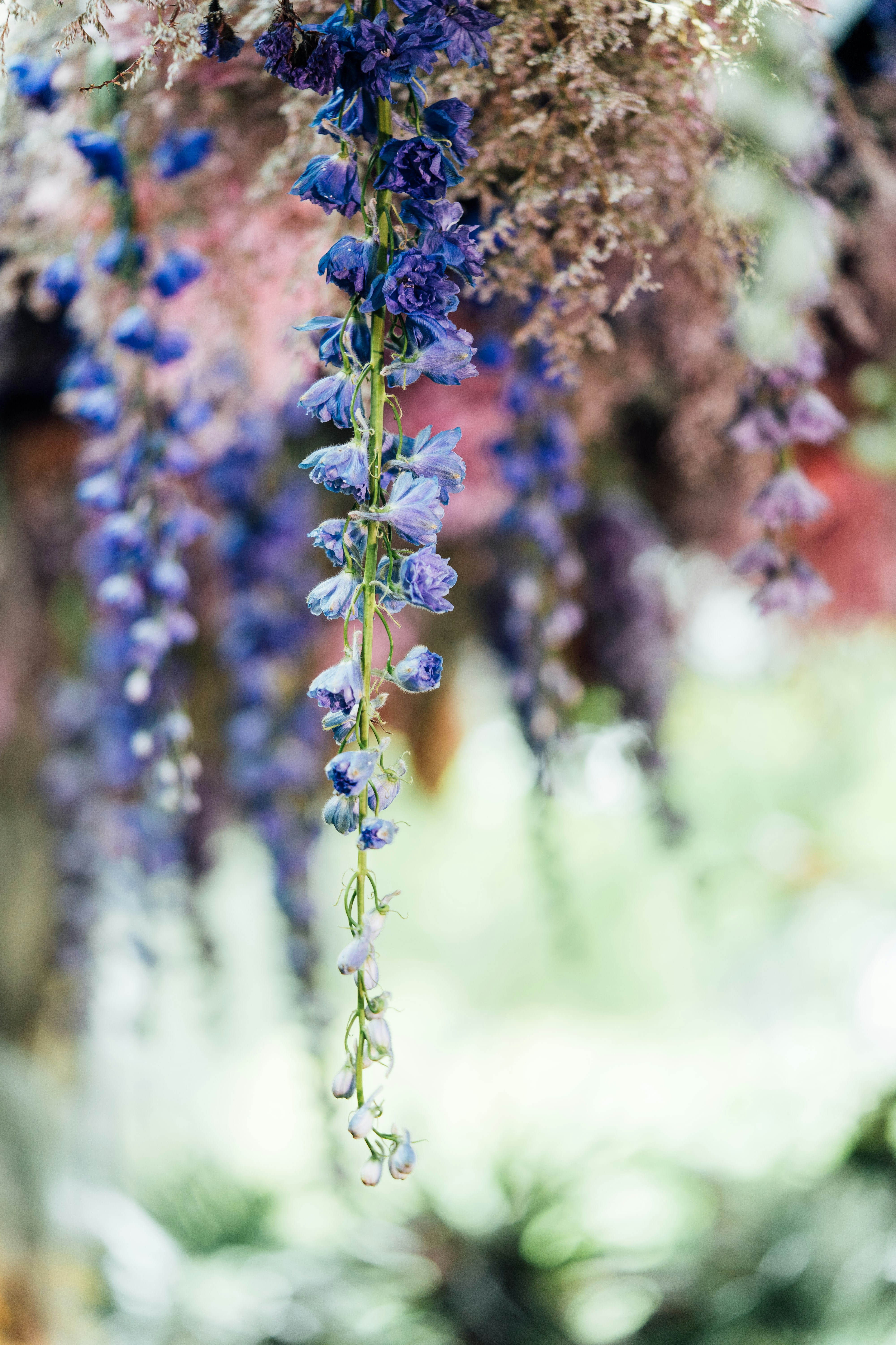 Photo by chuttersnap