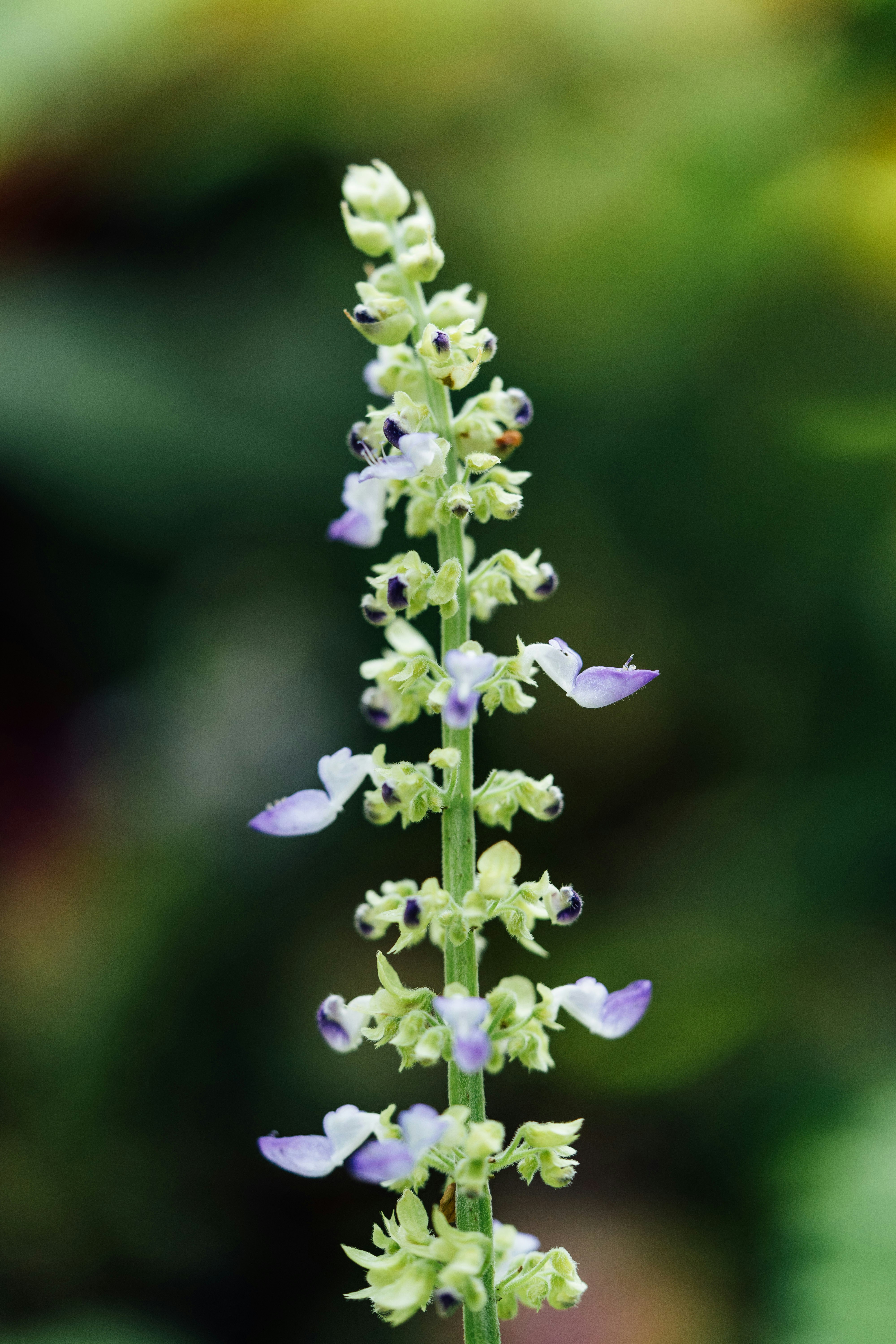 Photo by chuttersnap