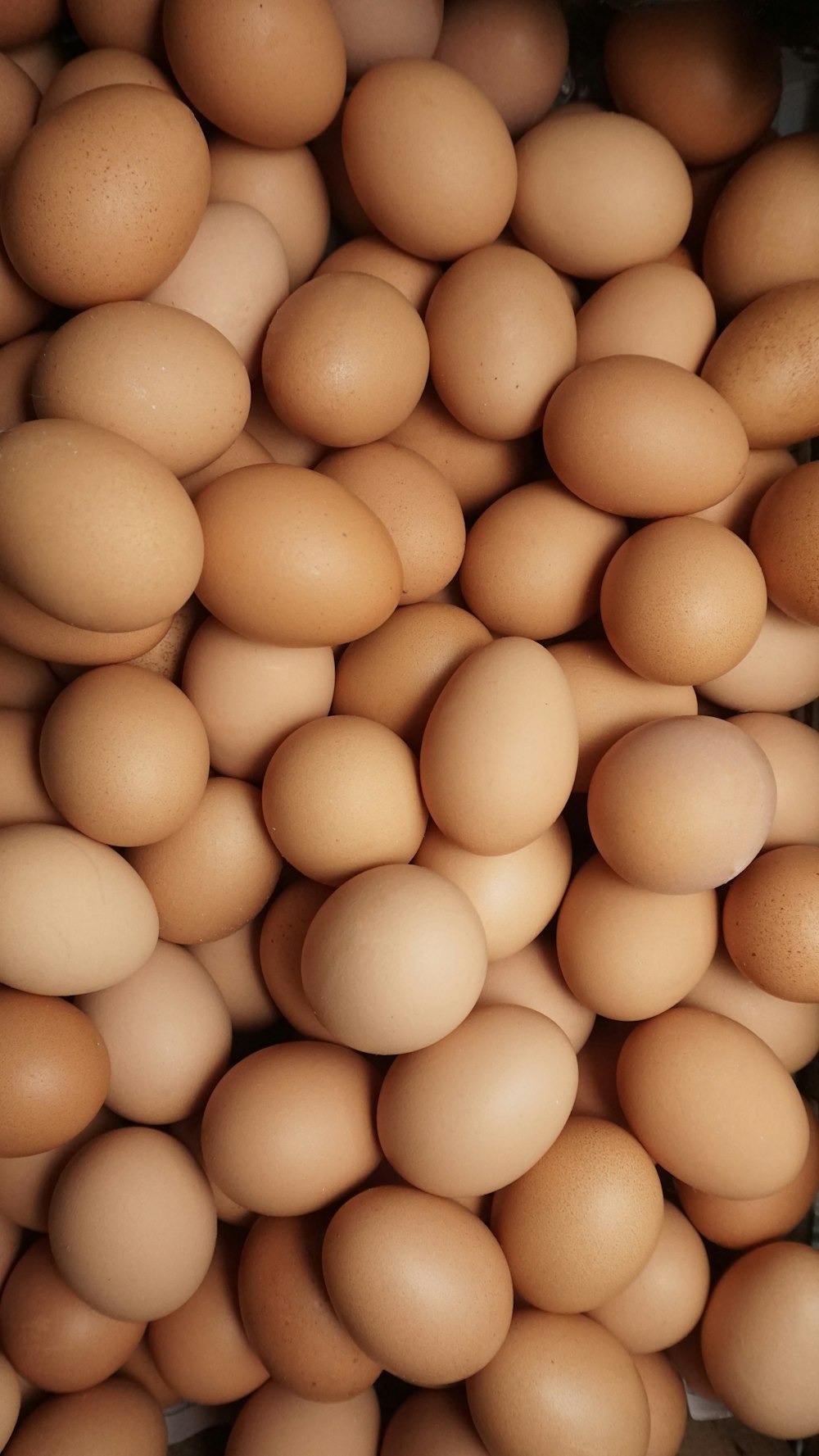 uma pilha de ovos sentados um ao lado do outro