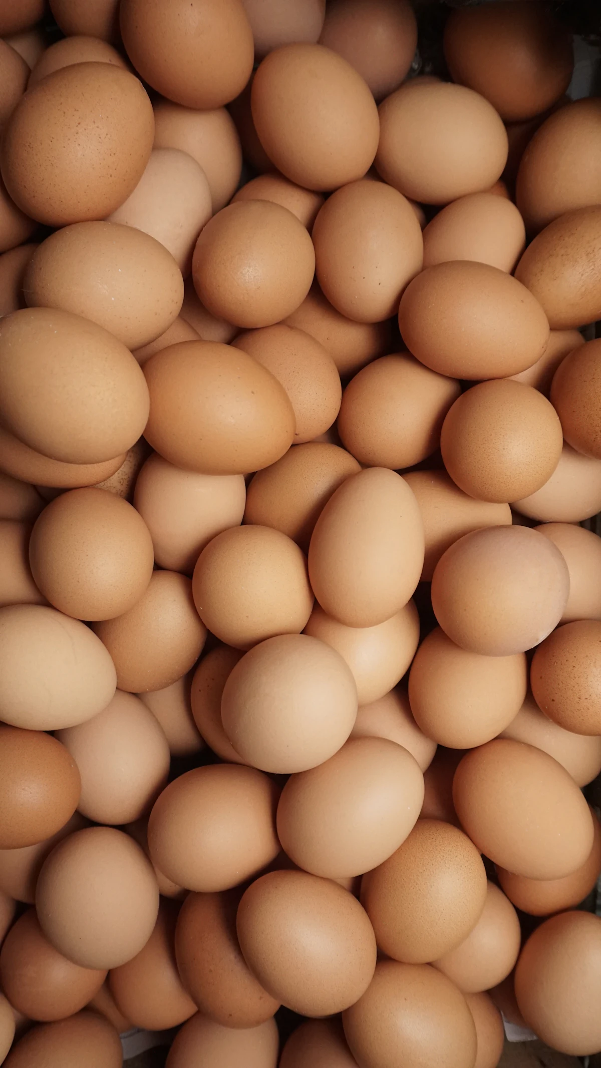 A large pile of brown eggs