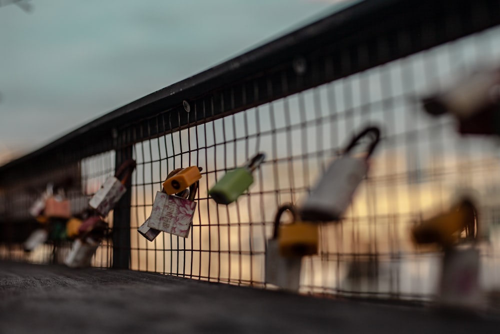 a fence with a bunch of padlocks attached to it