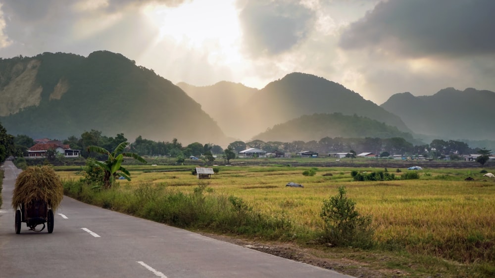 a truck driving down a road next to a lush green field