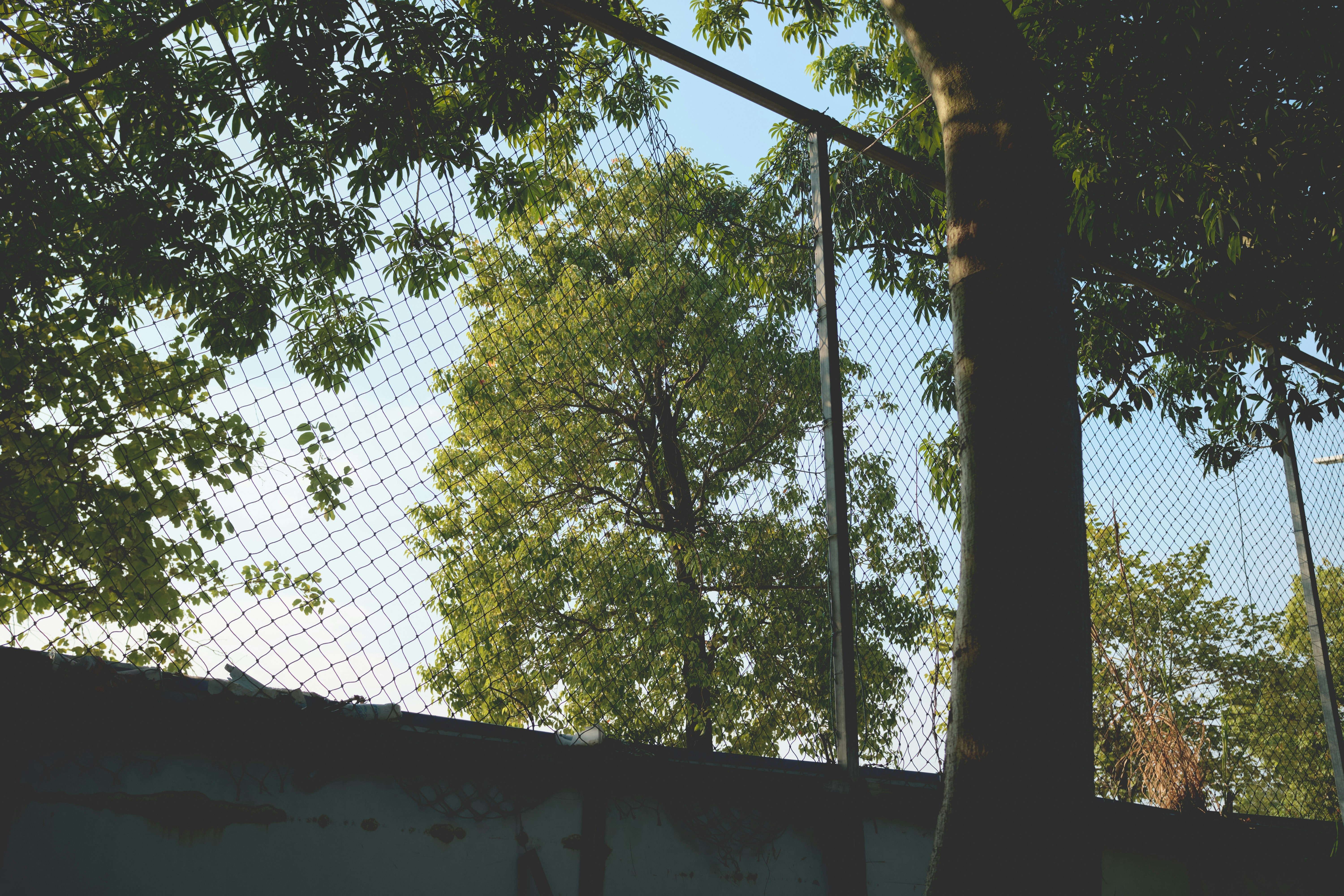 Durable Garden Privacy Screen