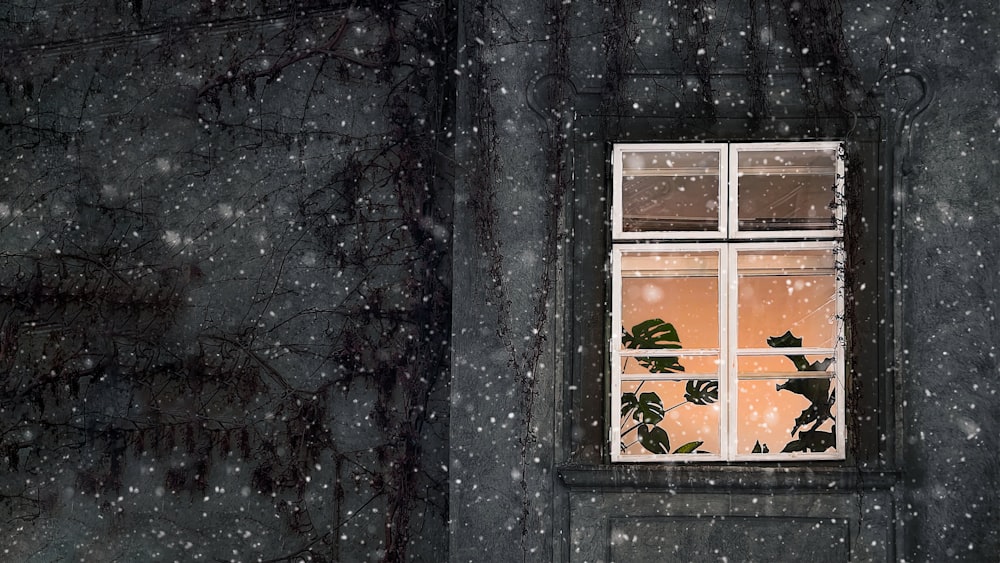 a window with a plant in it in the snow
