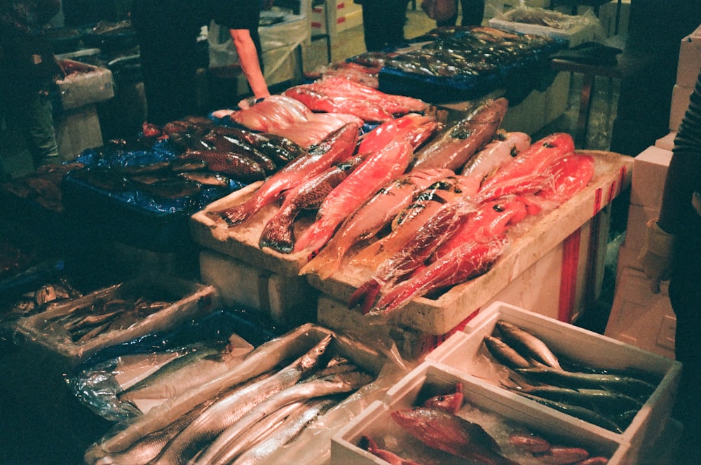 a bunch of fish that are on a table