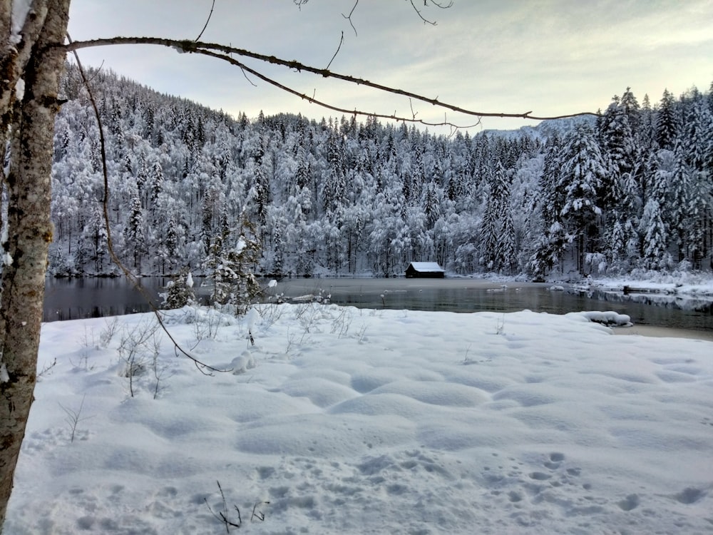 a lake surrounded by snow covered trees in a forest