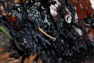 A close-up of a biopolymer product showcasing its texture and form.