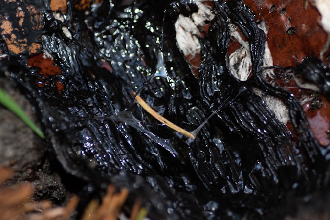 Understanding Humic Substances for Soil Health and Sustainable Farming