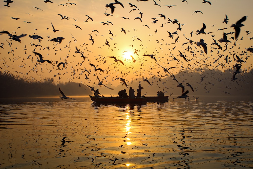 a flock of birds flying over a boat in the water