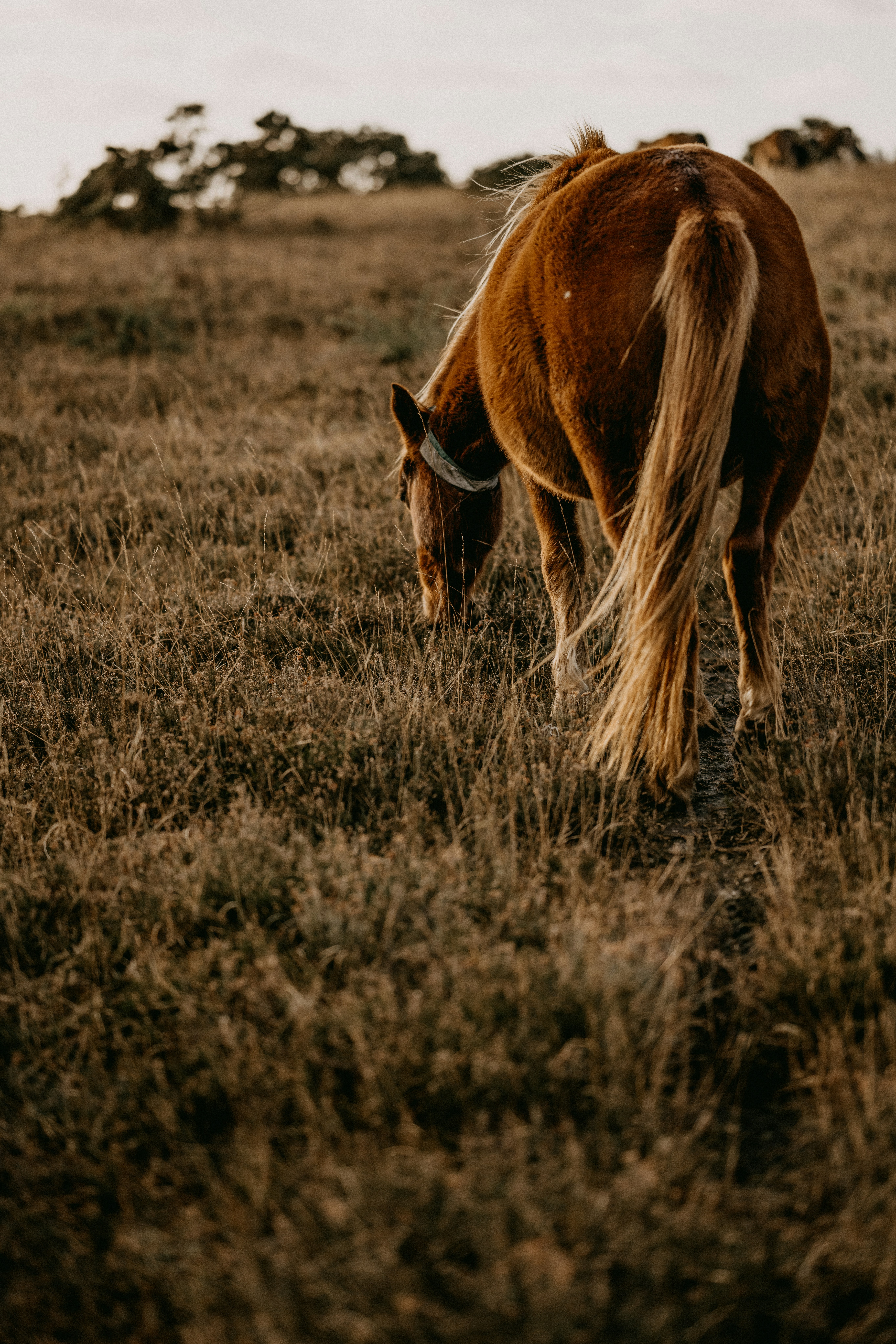 Photo by anniespratt