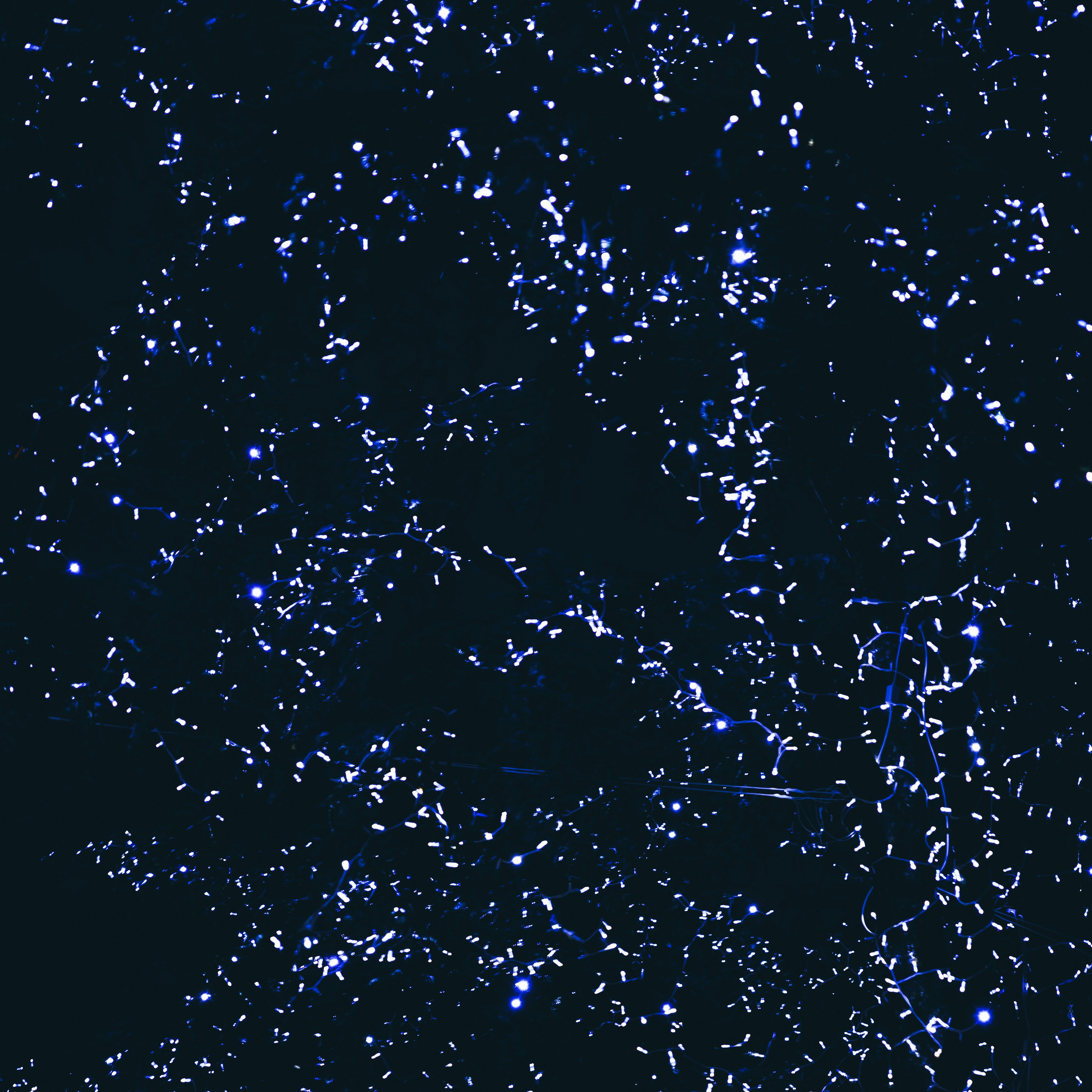 Photo by francesco_liotti