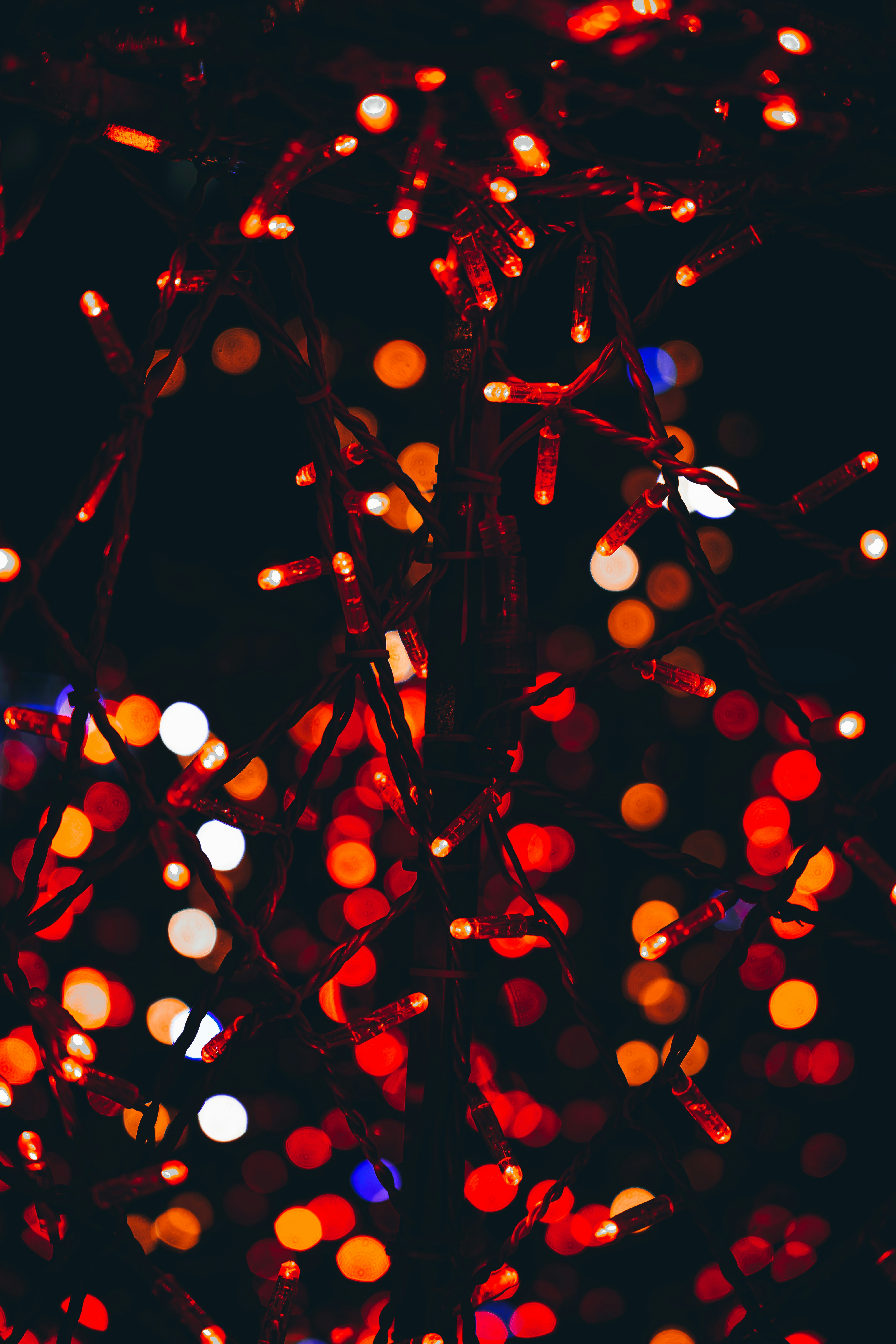 Photo by francesco_liotti