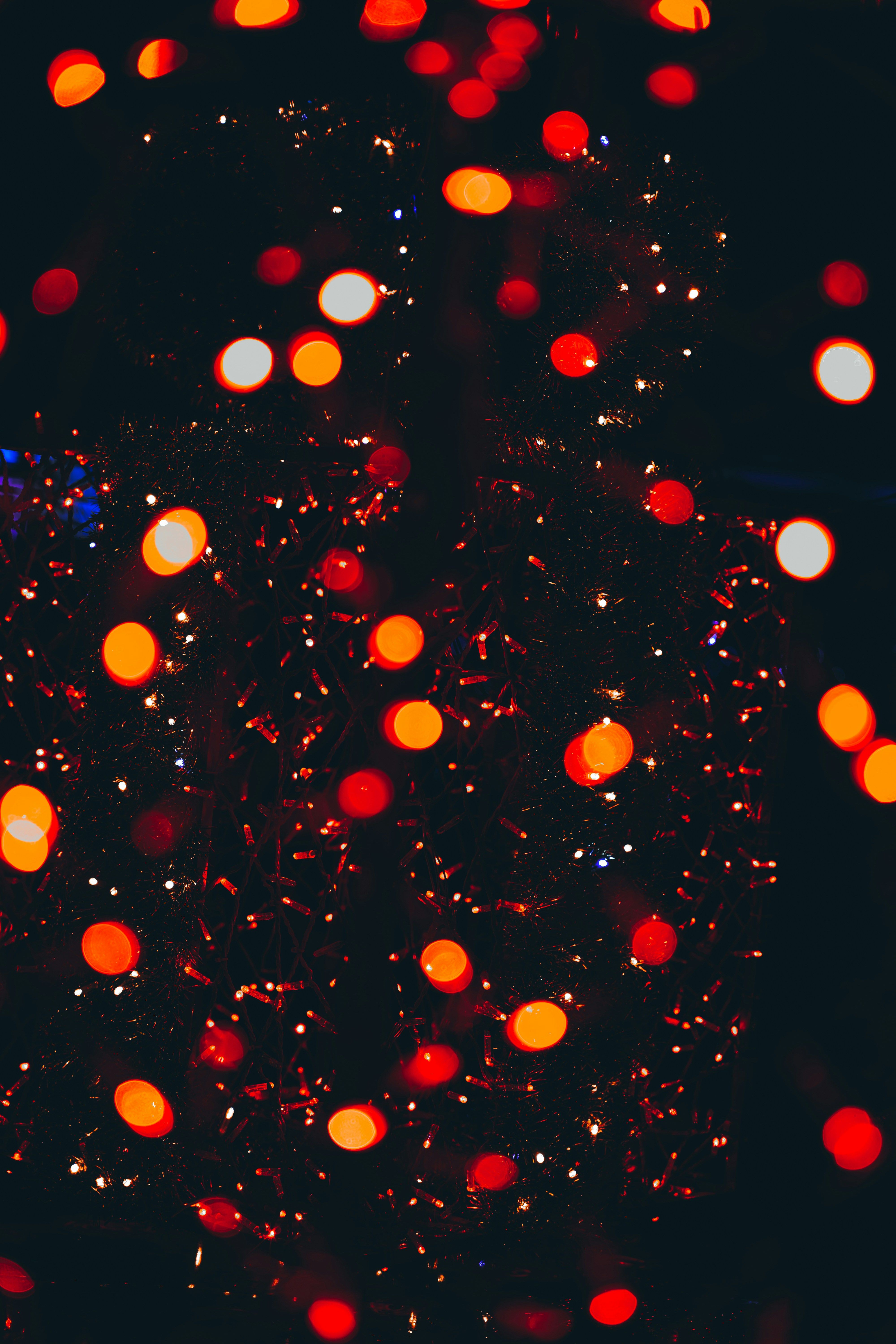 Photo by francesco_liotti