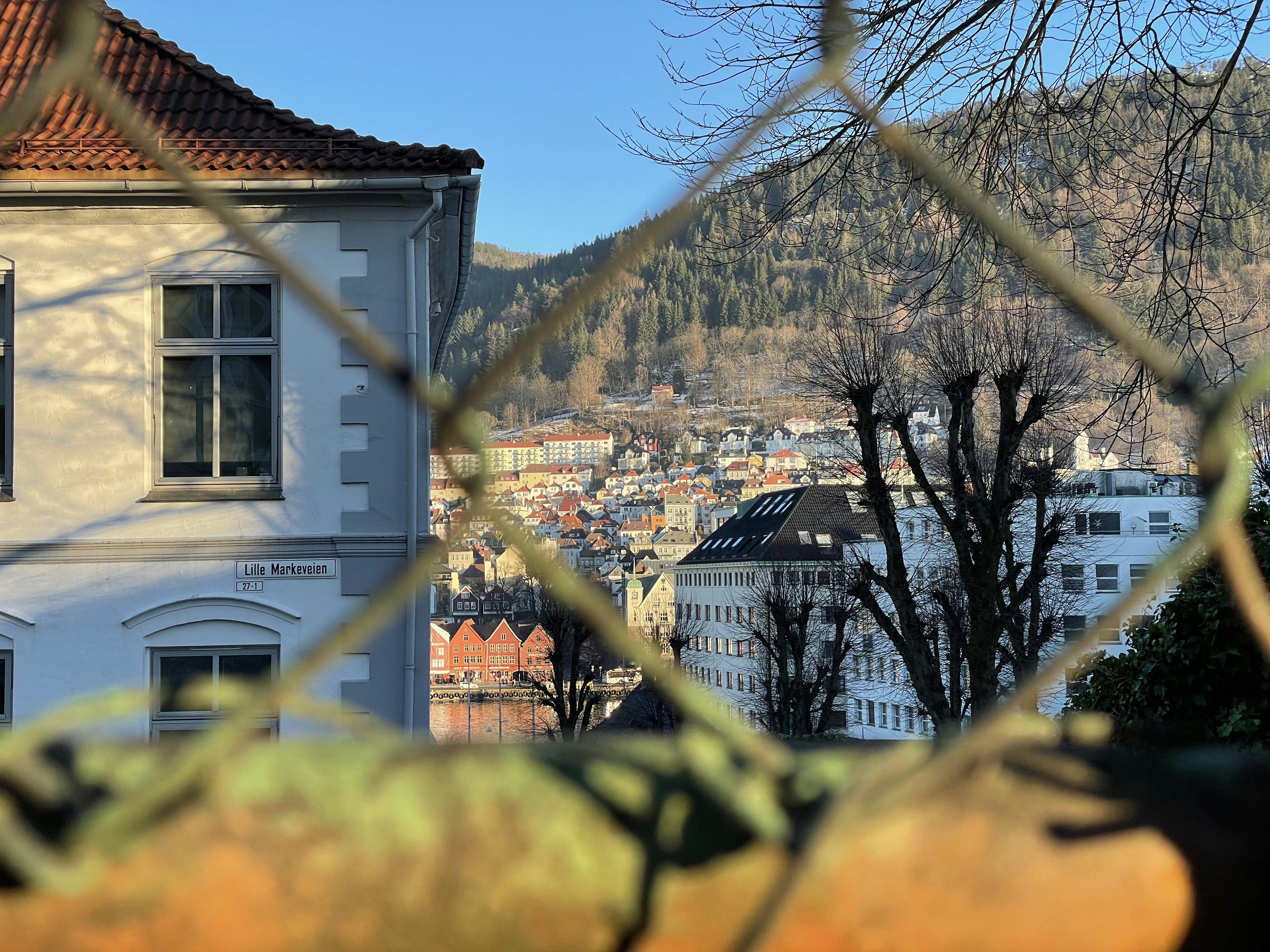 a view of a city through a chain link fence