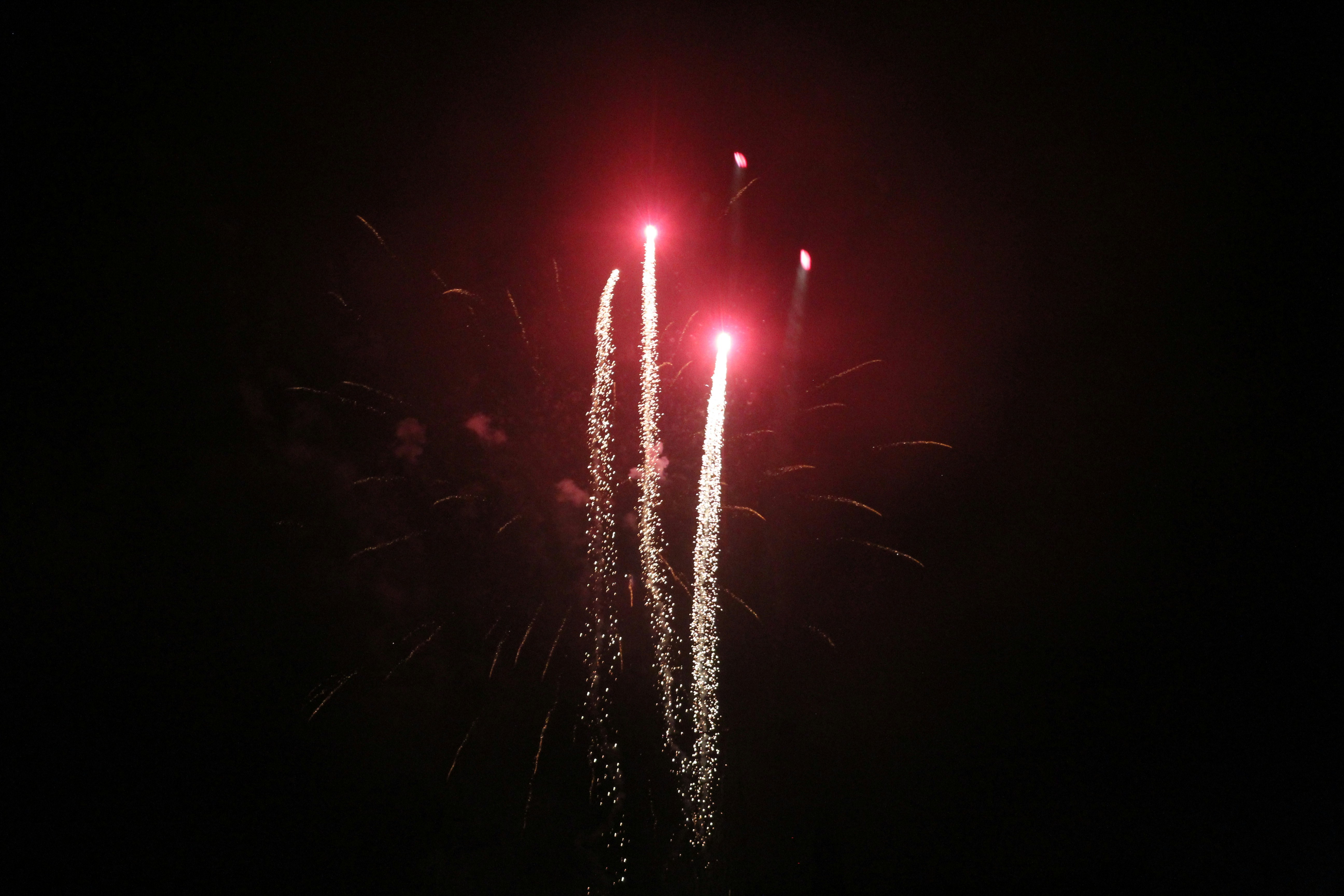 Fireworks in the night sky.