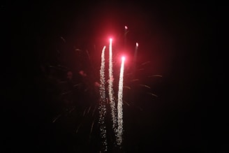 a couple of fireworks are lit up in the night sky