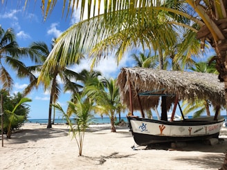 a boat on a beach with palm trees