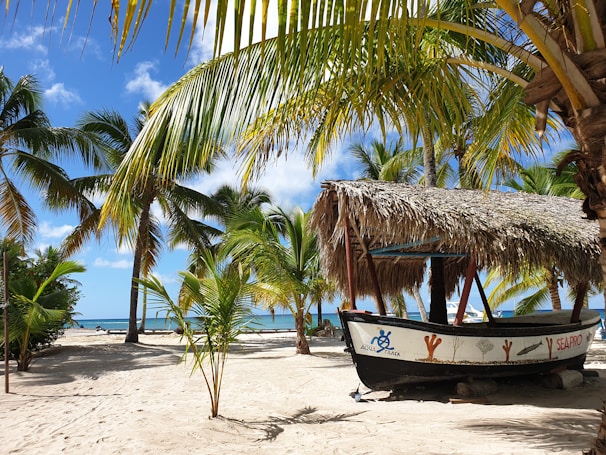 a boat on a beach with palm trees