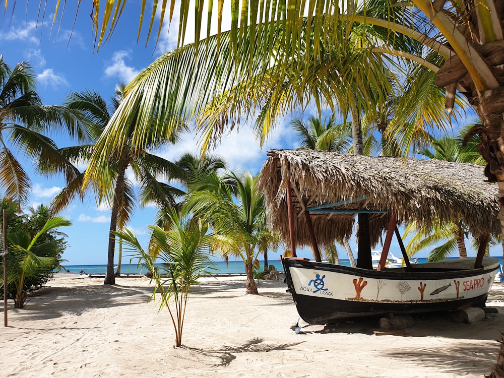 Un barco en una playa con palmeras