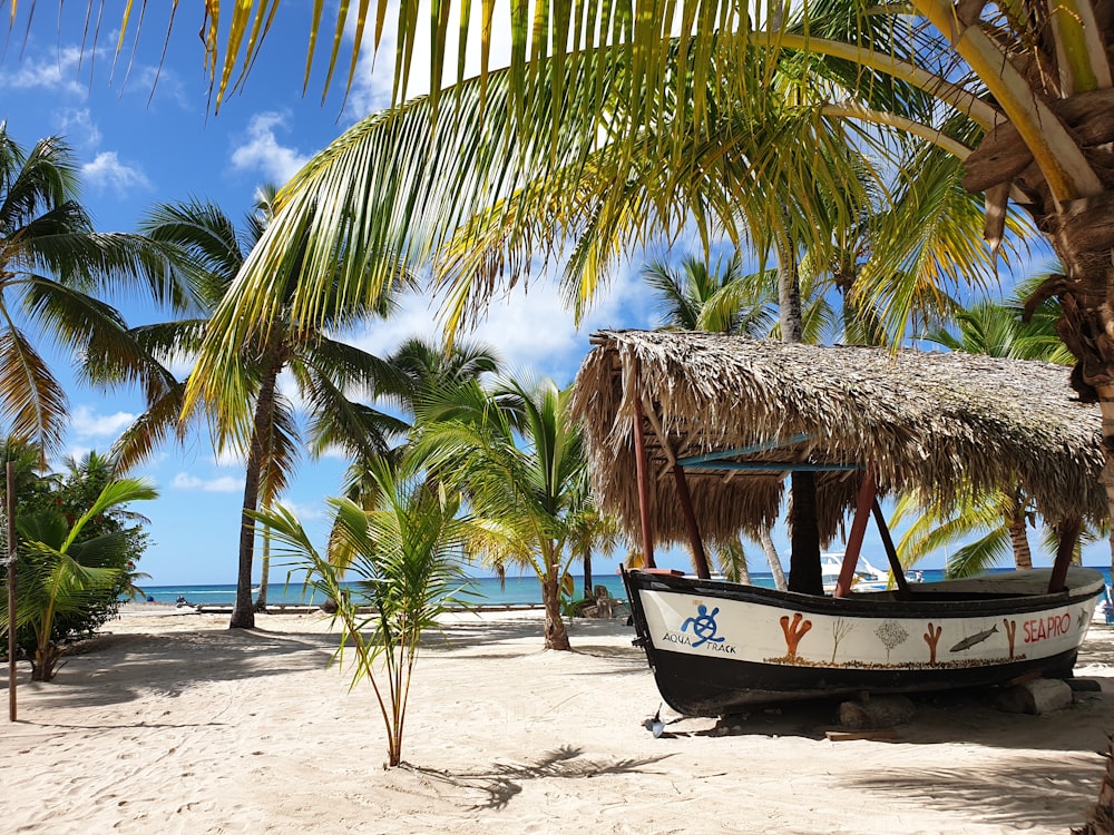 a boat on a beach with palm trees