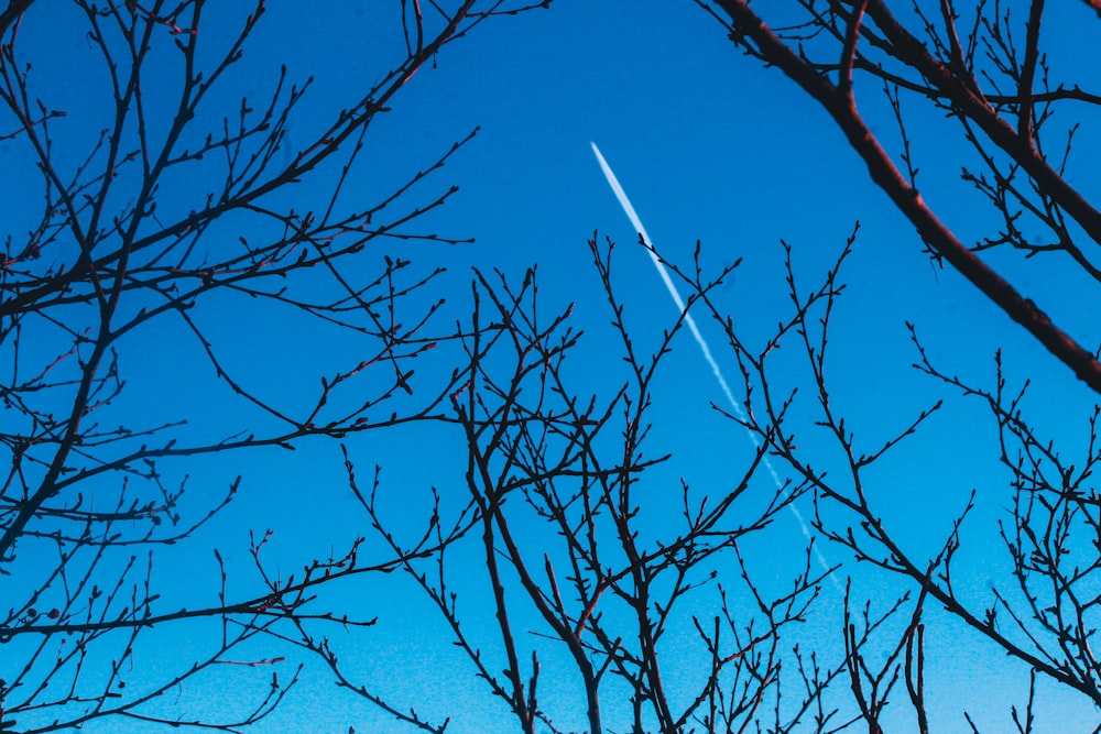 an airplane is flying through the blue sky