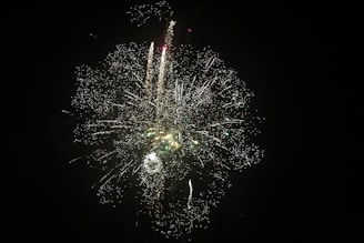 A burst of fireworks illuminates the night sky with bright lights and sparkling particles, creating a dazzling array of colors and patterns against a dark background.