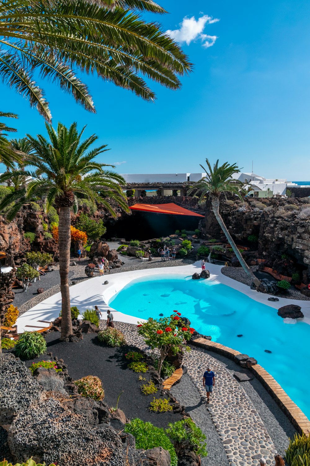 una gran piscina rodeada de palmeras