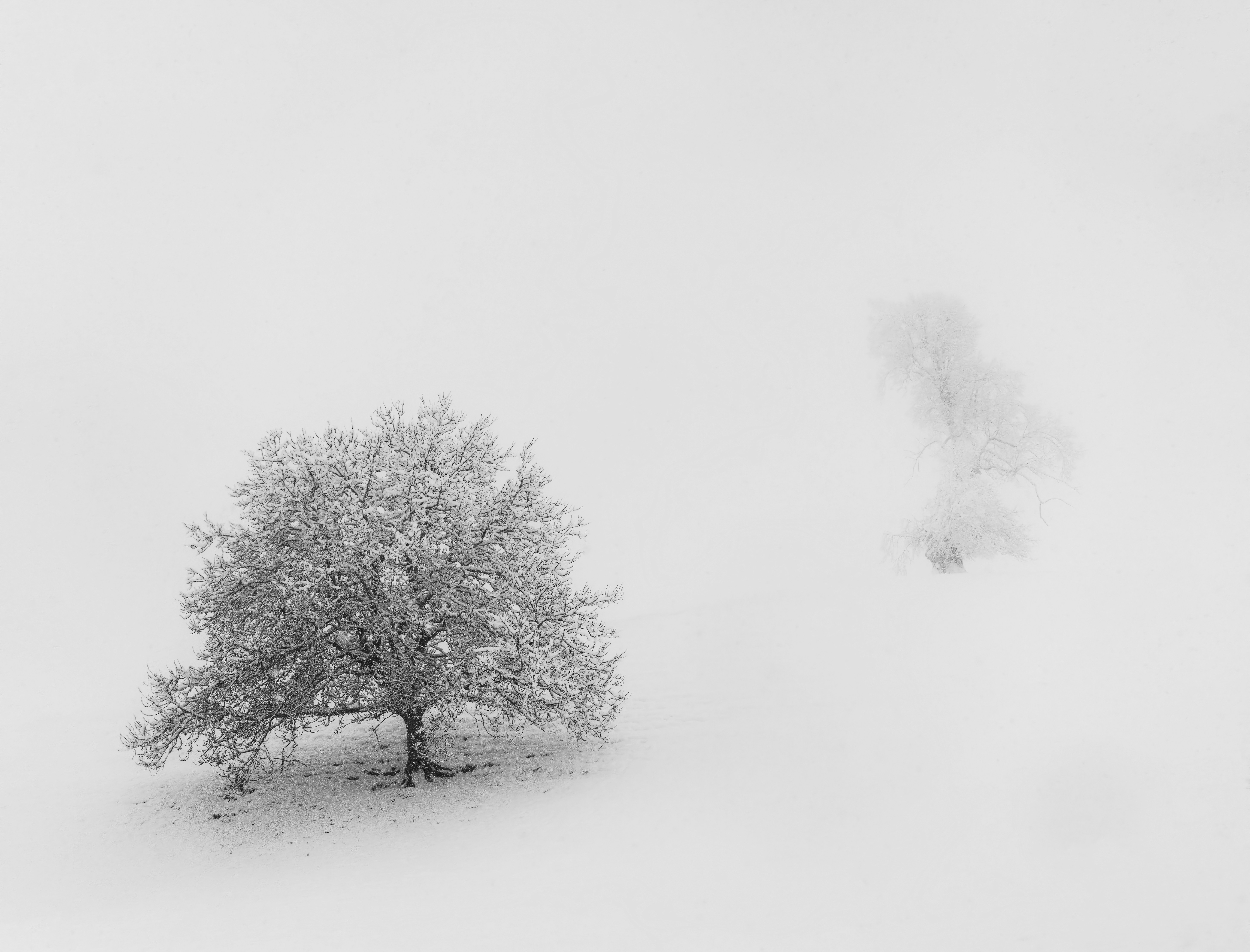 Photo by rgaleriacom