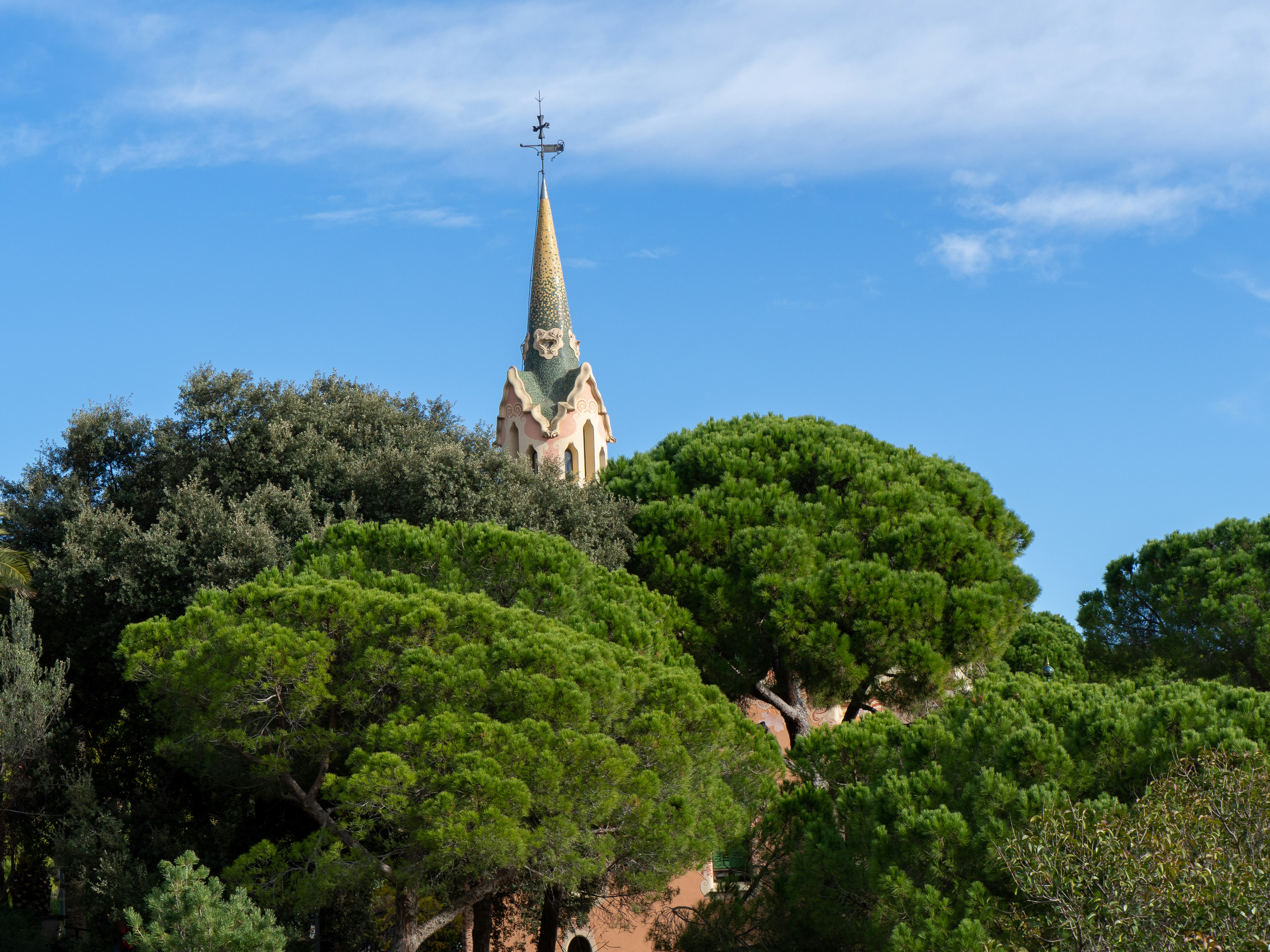 a church steeple surrounded by trees on a sunny day