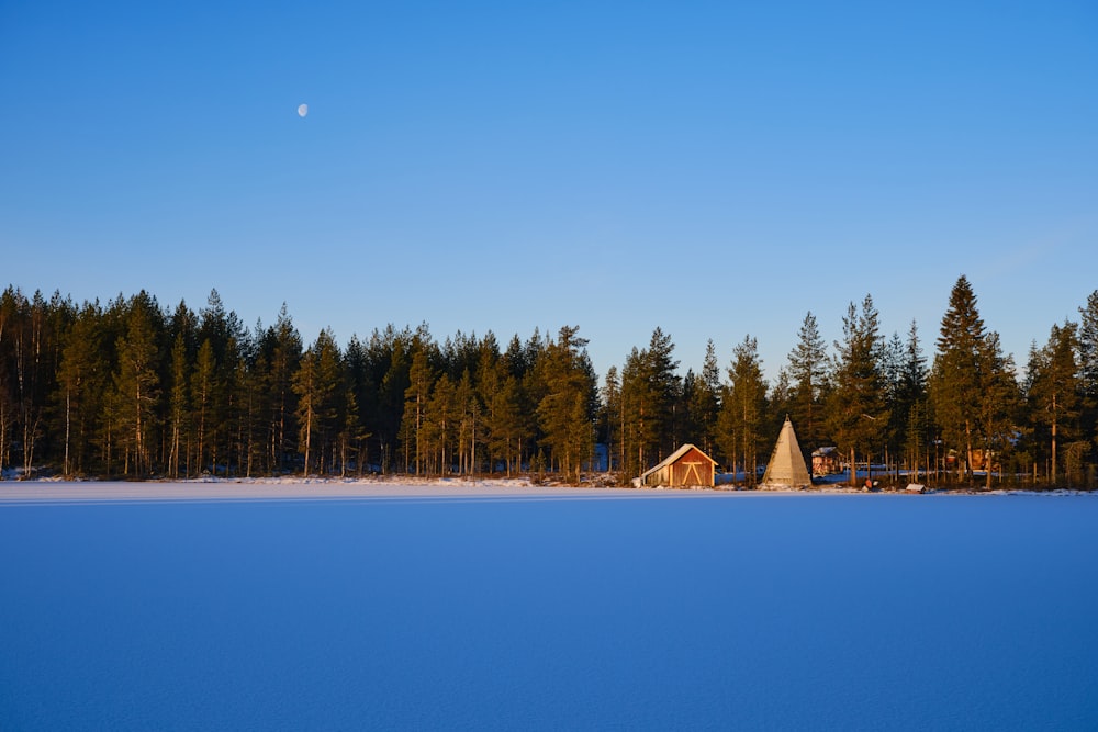 a cabin in the middle of a snowy field