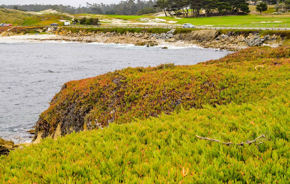 a body of water surrounded by a lush green hillside