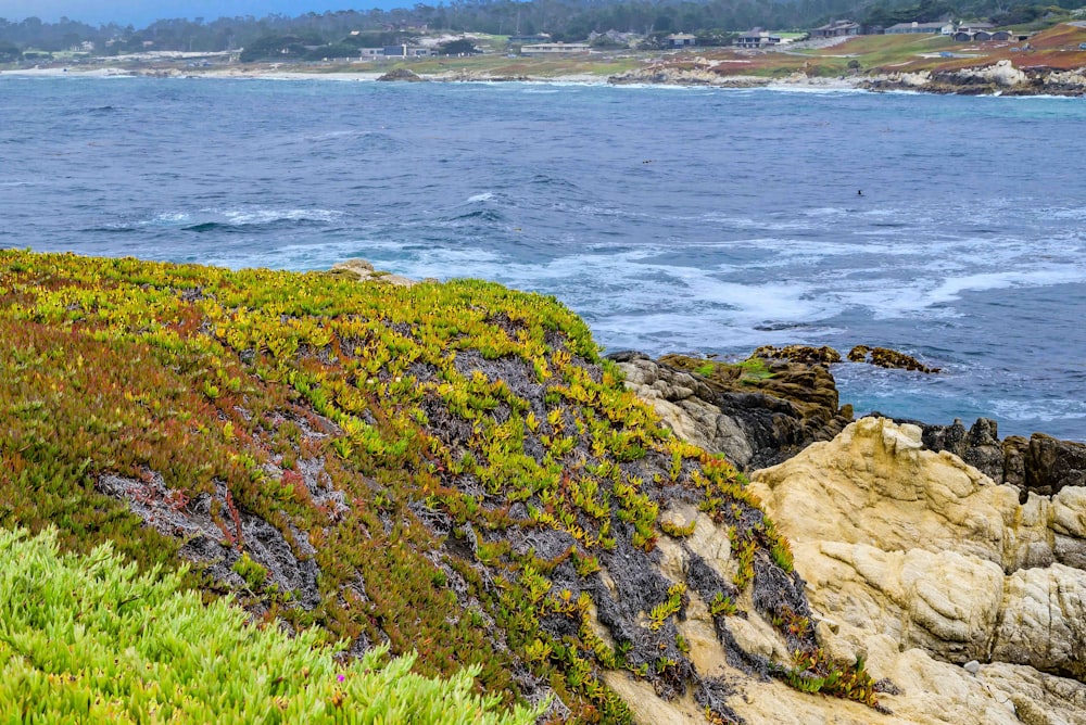 a view of the ocean from a rocky cliff