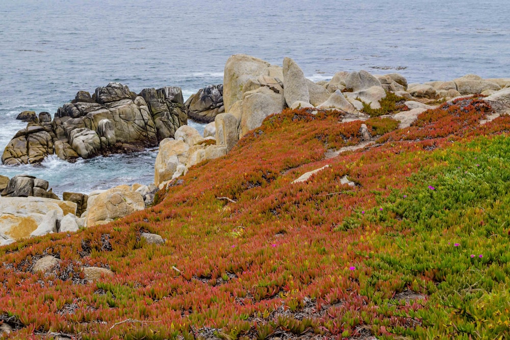 a couple of rocks sitting on top of a lush green hillside