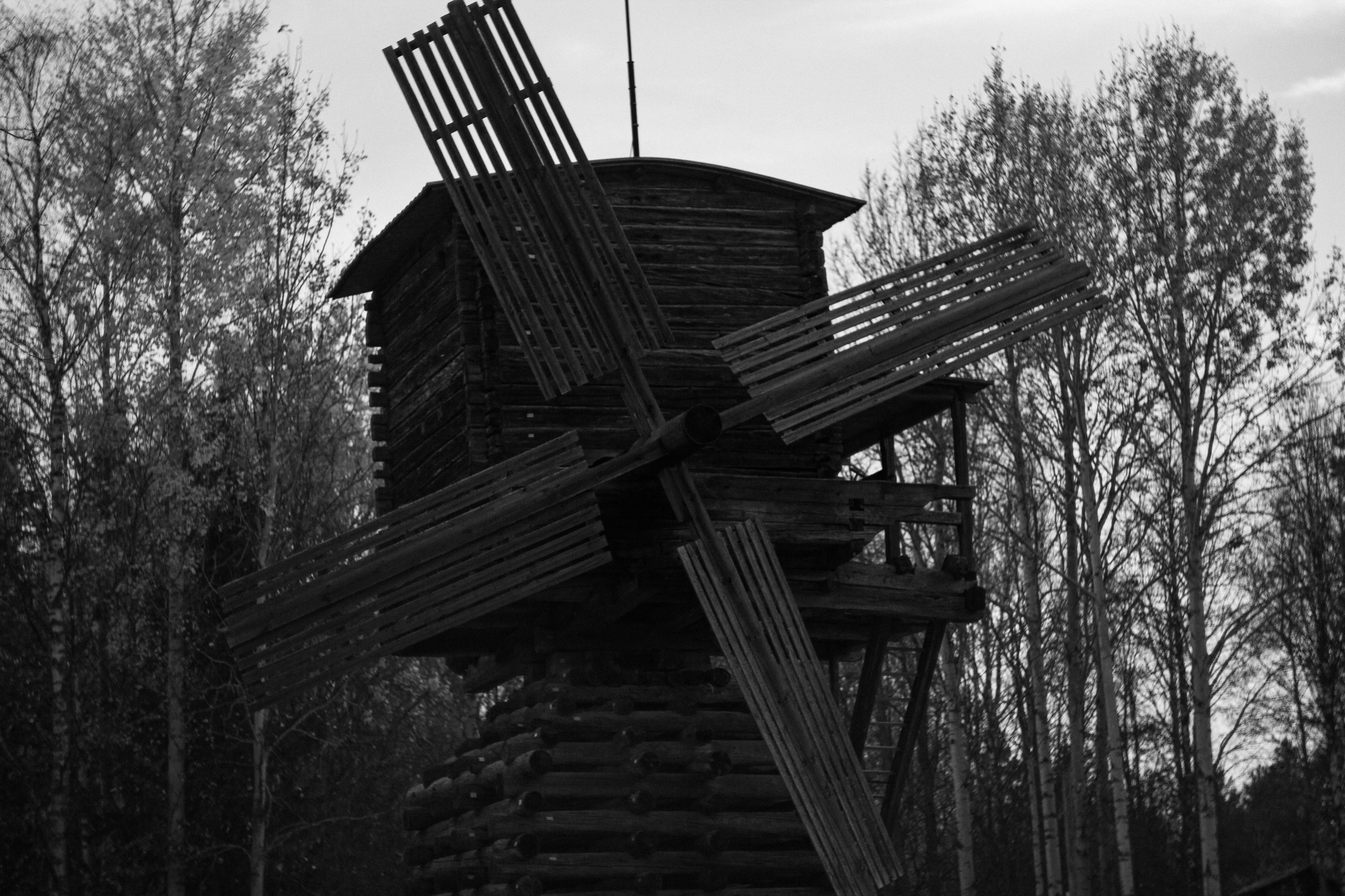 Photo by antohakraev