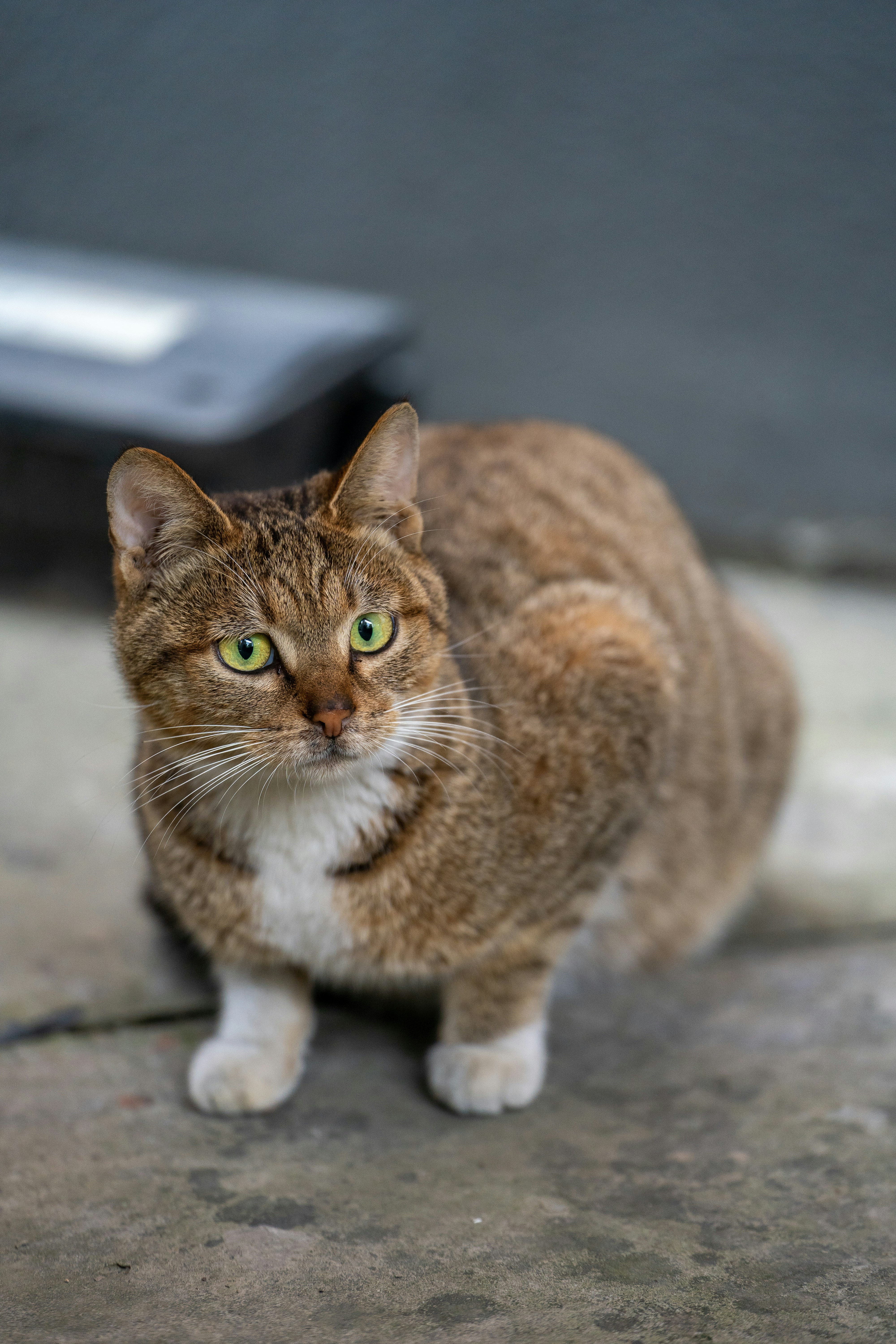 Photo by yooho962464