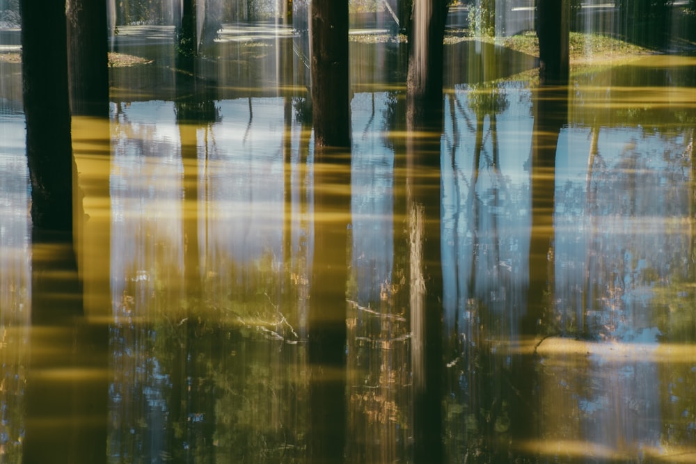 a body of water that has some trees in it