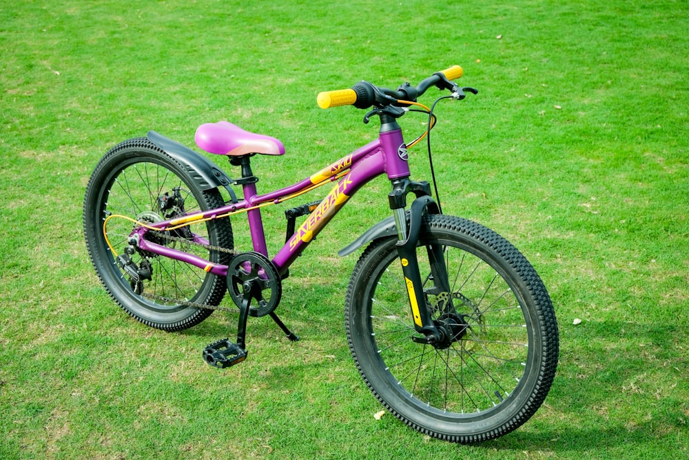 Un vélo violet garé au sommet d’un champ verdoyant