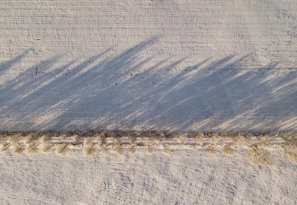 a person riding a snowboard down a snow covered slope