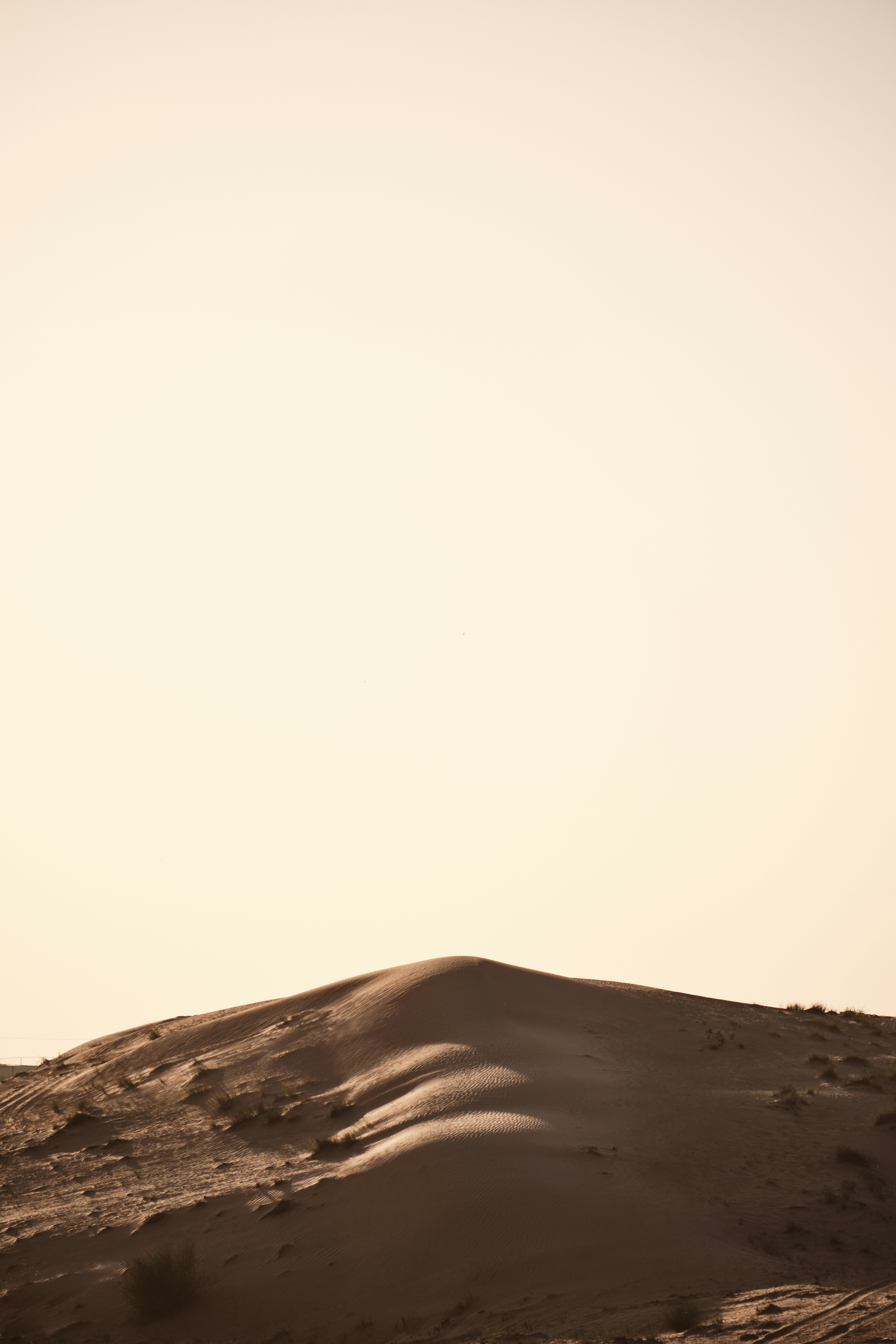 Photo by lazyeyedone